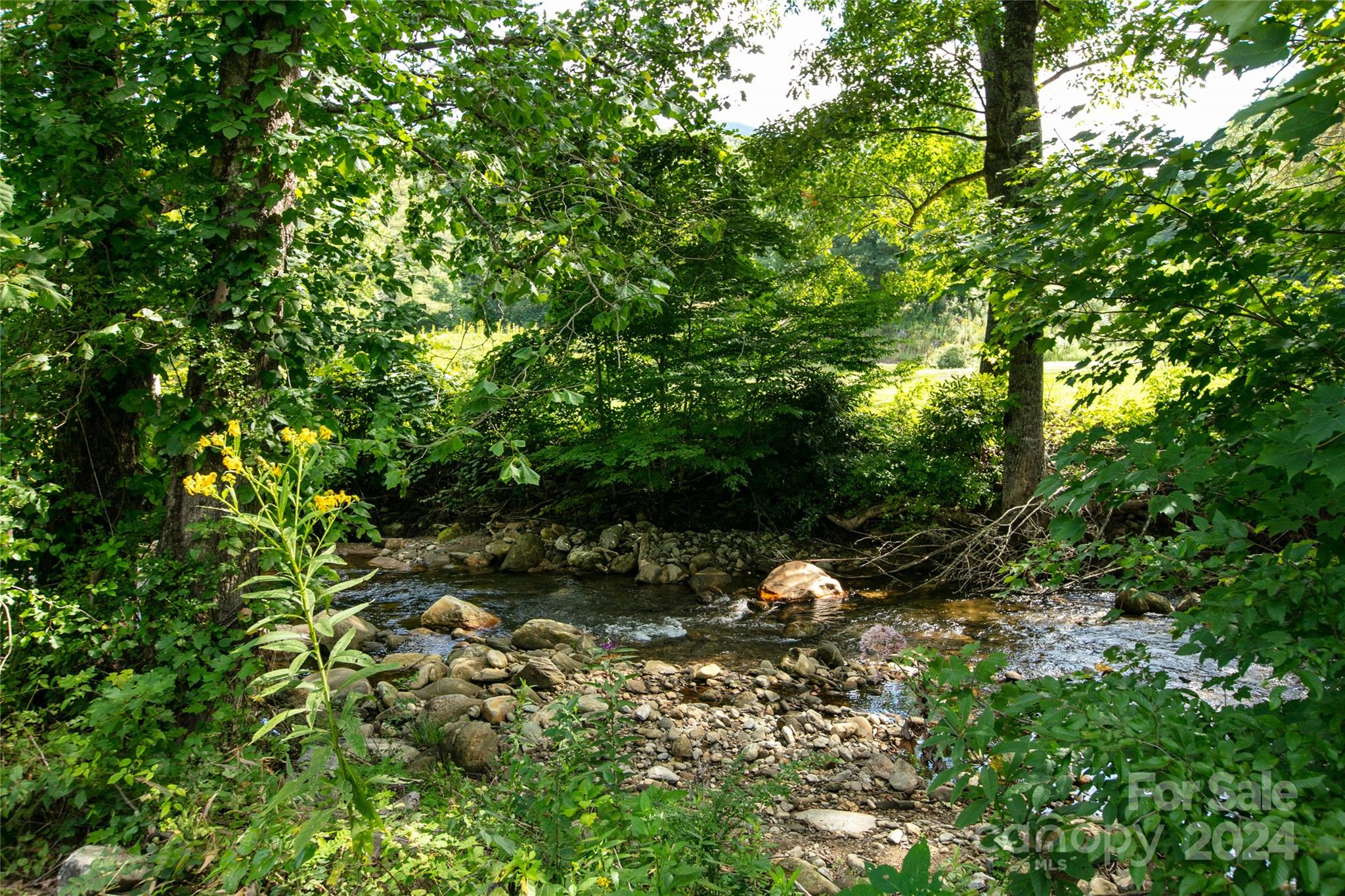 The River at Shining Rock - Land