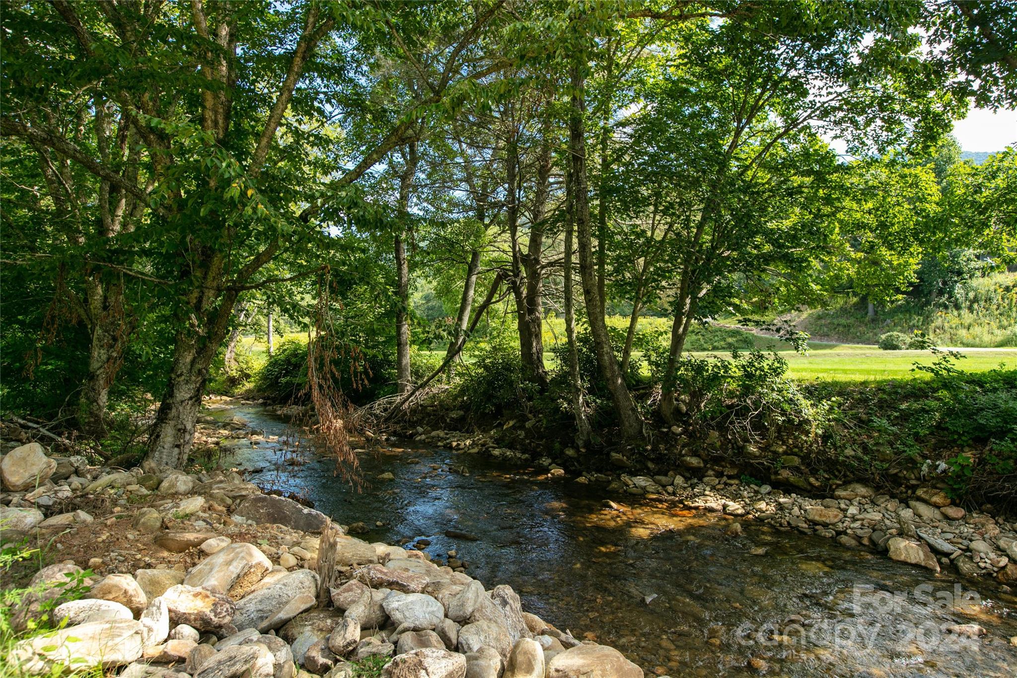 The River at Shining Rock - Land