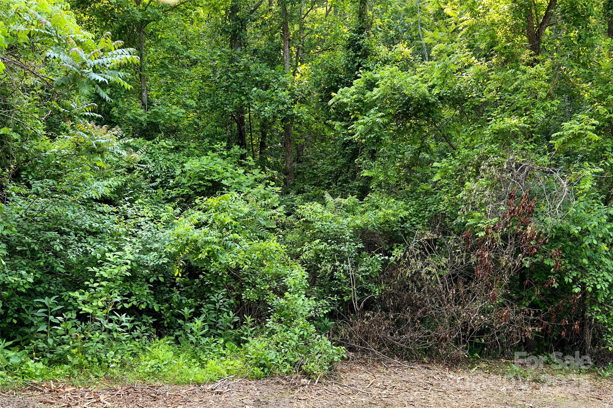 Smith Knolls - Land