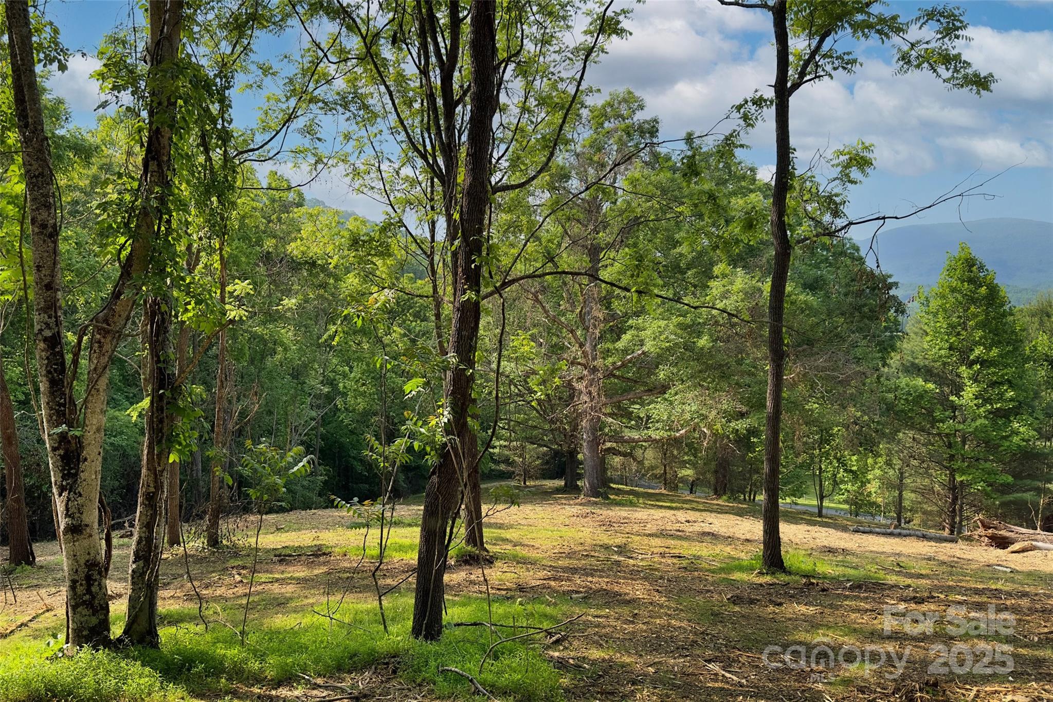Smith Knolls - Land
