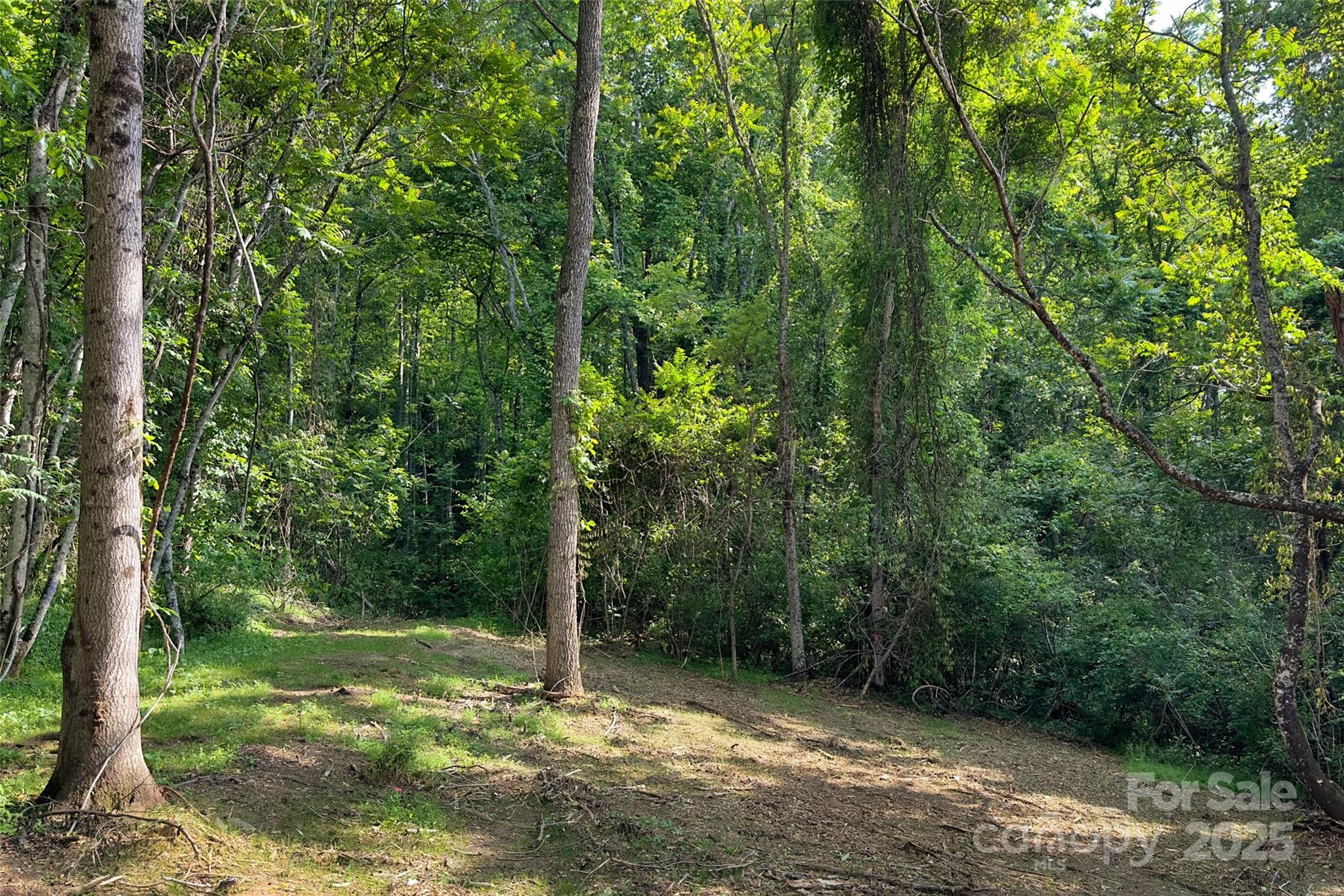 Smith Knolls - Land