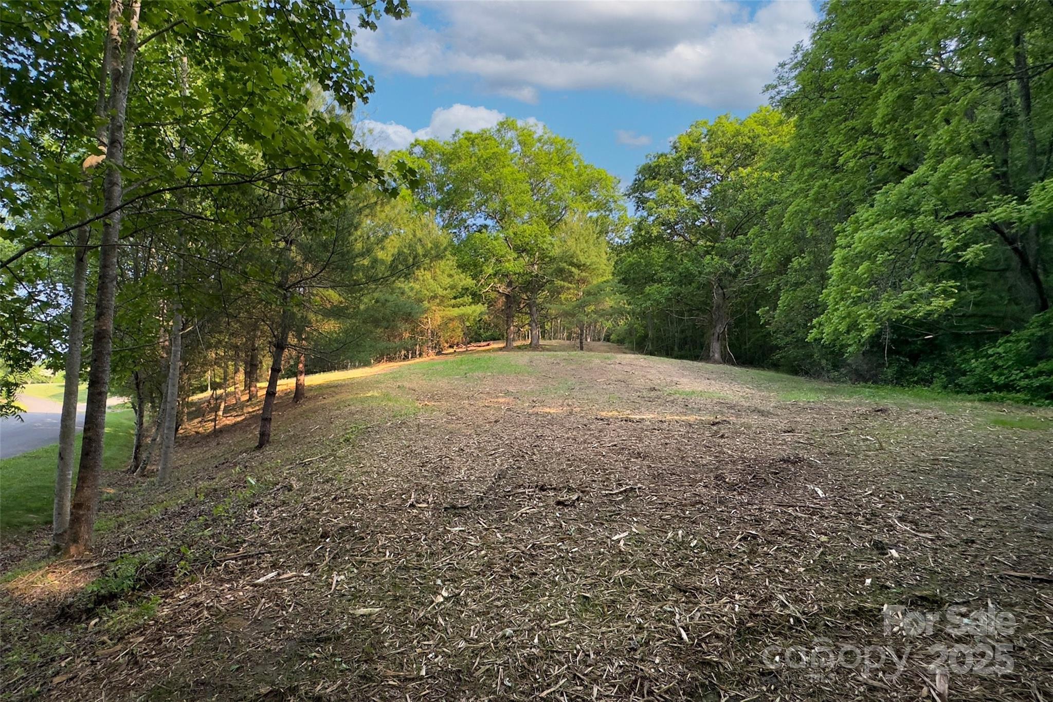 Smith Knolls - Land
