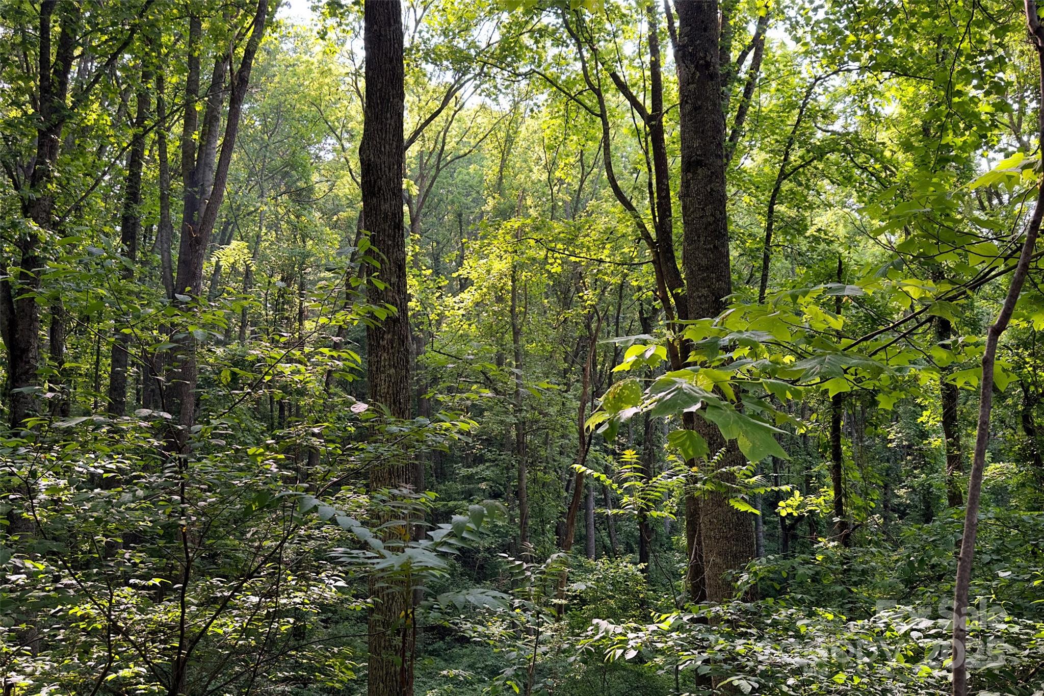 Smith Knolls - Land