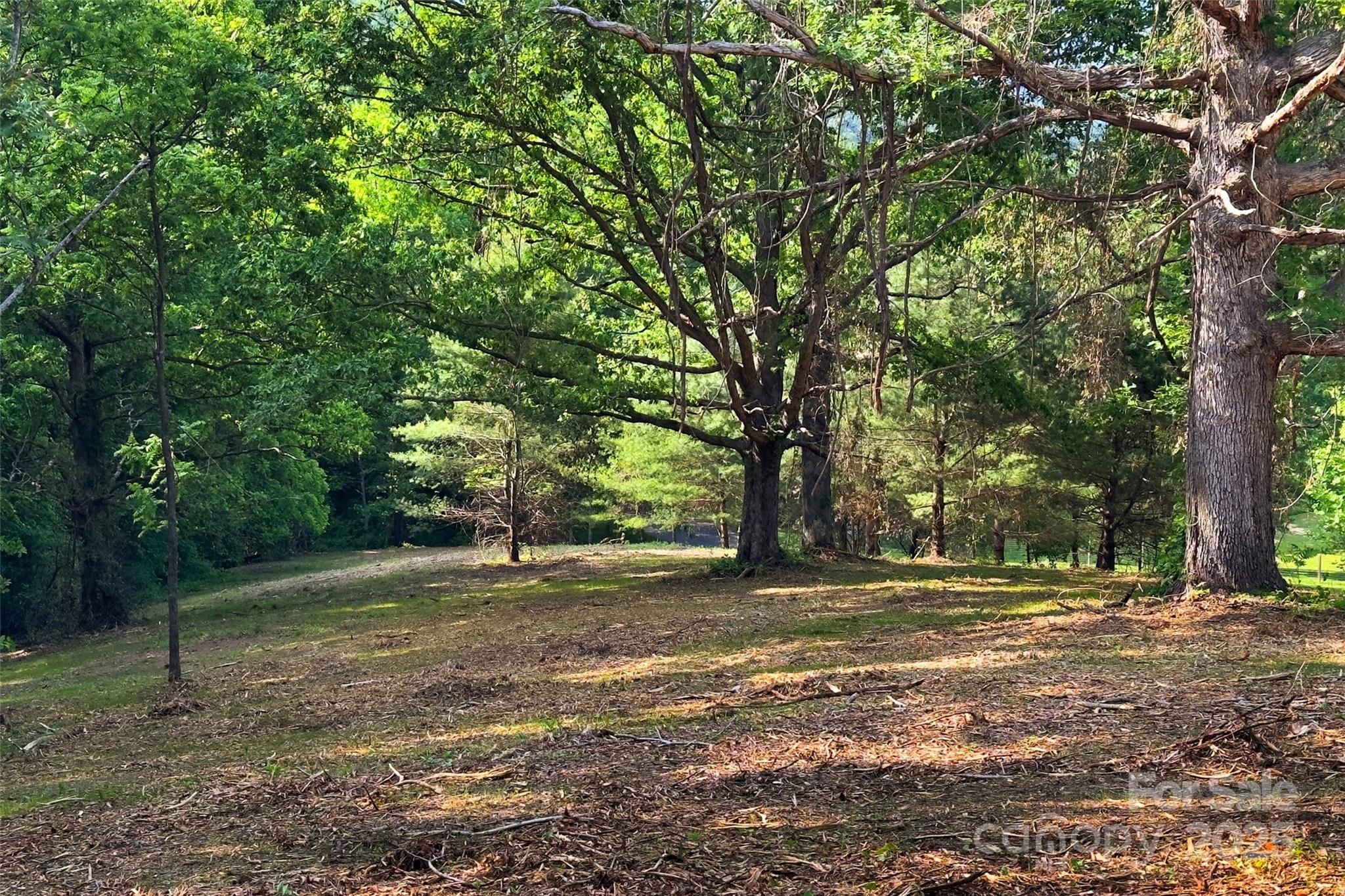 Smith Knolls - Land