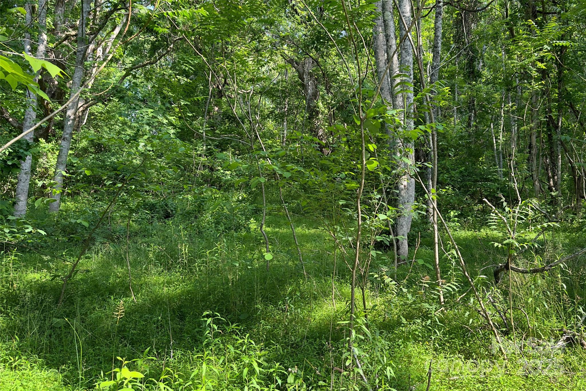 Smith Knolls - Land