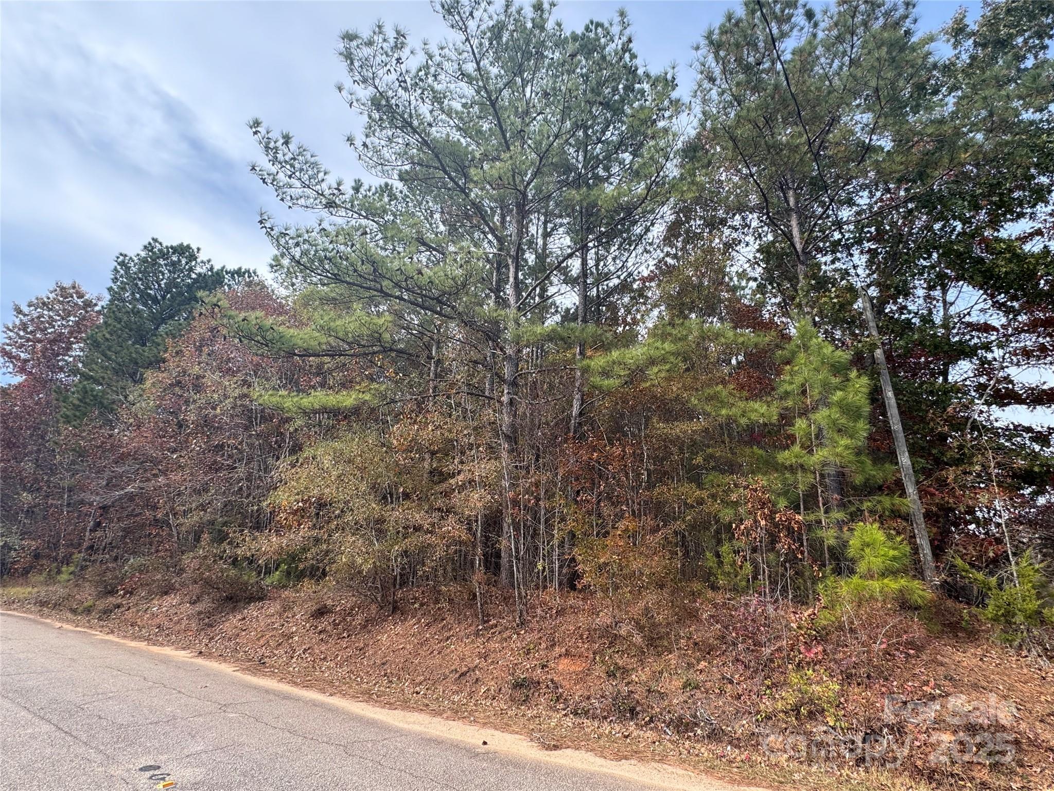 Come see this (+/-)1.044-acre property located on Russell Road in Blackstock, SC. This beautiful piece of land offers potential for your future investment plans. Conveniently located near Chester County schools and just a short drive to downtown Chester, this property provides a peaceful rural setting with easy access to town amenities.