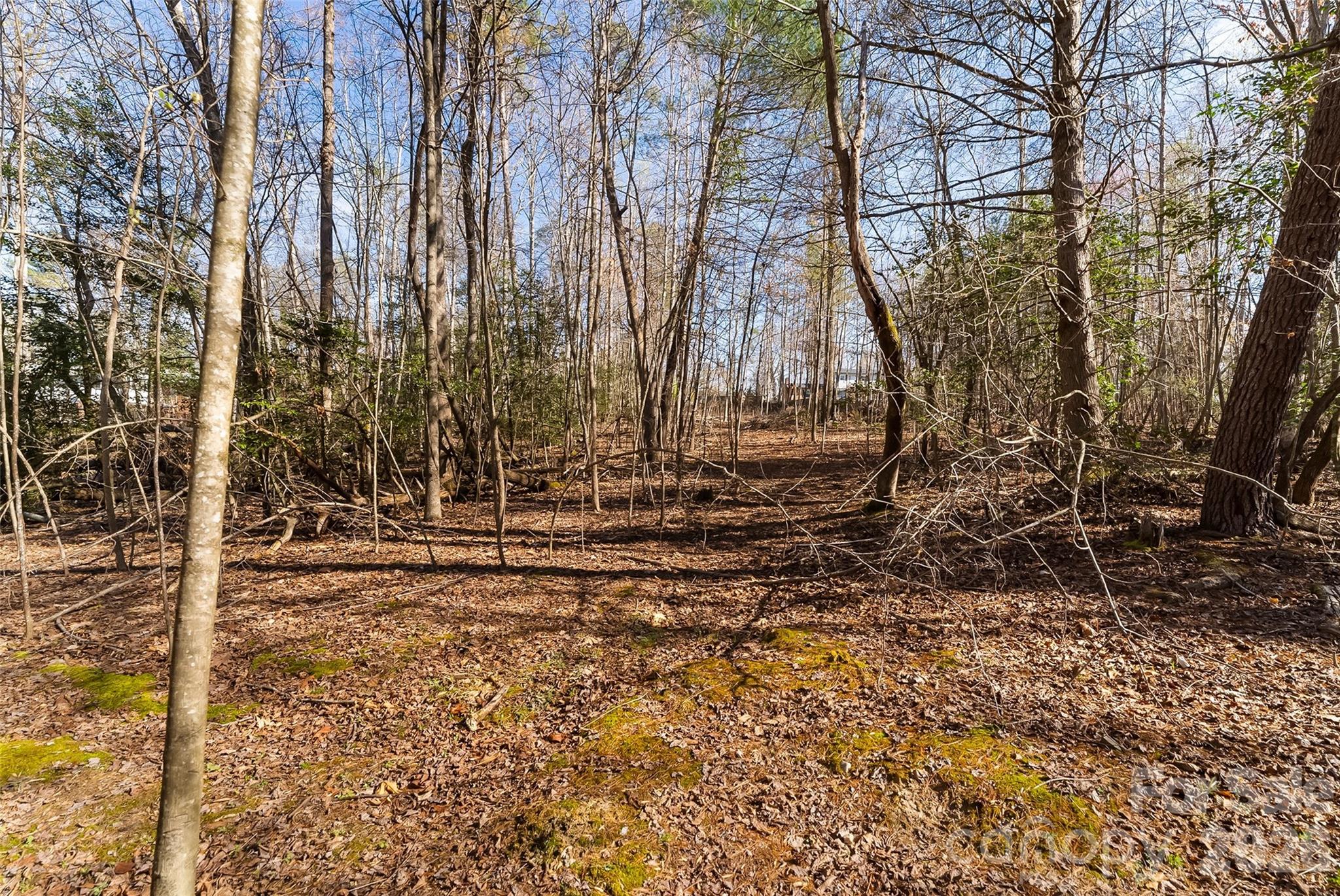 Ramblewoods - Land