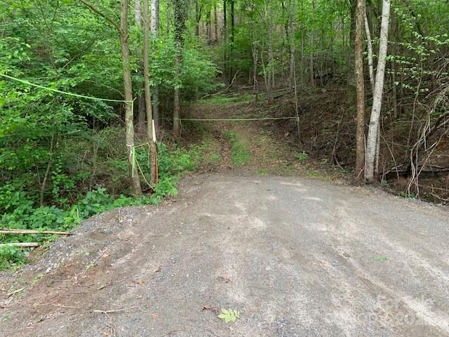 BUY NOW!!!! LOWERED FROM $495K TO $479K  RARE FIND IN OUR WNC MTNS., especially in POLK COUNTY ... certainly a FAVORITE, ONE-OF-A-KIND LOCATION! GREAT "OWNER FINANCING DEAL" ... ALL THAT LAND, WOW.
   LOCATED ACROSS WITH SOUNDS AND VIEWS OF GREEN RIVER, walk to FISH TOP PARK OF THE GAMELANDS, for a picnic, tubing and many river sports dozens of building SITES ... please come and see, you won't believe the beauty of the area, the sounds of the river. YOU WILL BUY IT ... OWNER FINANCING WILL BE CONSIDERED.
   DISCOVER THE many uses and purposes: PURE INVESTMENT, create a FAMILY COMPOUND, a giant private estate, clear some land to bring in HORSES, a mountain farm (ancestors did it) HOW FUN. LET'S LOOK INTO BUILDING CABINS, to sell or rent. $$$$$ With this one tract you can experience I guess almost all mountain terrains, level, slight grades to mixed rolling, gorges, creeks (check about pond sites) even a giant tall ROCK FORMATION peering upwards.  PERFECT FOR PREPPERS. RICH DARK MOUNTAIN LAND AND CREEKS ...
  CALL ME WE CAN DISCUSS THINGS AND PLAN A TRIP, BUT COME READY TO HIKE AND FALL IN LOVE ... COLORS ARE CHANGING NOW. BUYER IS RESPONSIBLE TO CONFIRM USES WITH POLK COUNTY AUTHORITIES.
 I CAN SURE HELP! A few dozens knolls, level and gentle sites; trails, even old logging roads CREEKS AND COVES.
   YOU ARE ACROSS FROM THE ""GREEN RIVER"" THAT GIVES GORGEOUS VIEWS OF THE RIVER AND MOUNTAINS WITH GIANT BOULDERS, THOUSANDS OF FEET HIGH MOUNTAIN RIDGES AND GAME LANDS. A COUPLE OF BLOCKS AWAY IS "FISHTOP", this is Designated NC TROUT WATER, ... GO AND FISH, BIKE, TUBE AND KAYAK. BEAUTIFUL, BEAUTIFUL LAND.  RARE TO GET THIS MUCH LAND AND IN THIS LOCATION.
   YES FRIENDS, THE HELENE HURICANE CAUSE DAMAGE, you will see today the rebuilding efforts to make it BETTER AND OF COURSE NEW.  ""THIS LAND"' being SAFELY above the road, no flooding here.  It looks like it did millennials ago, see the CAVES, THE GIANT ROCK 100'S OF FEET VERITCALLY.  NO OTHER LIKE IT.