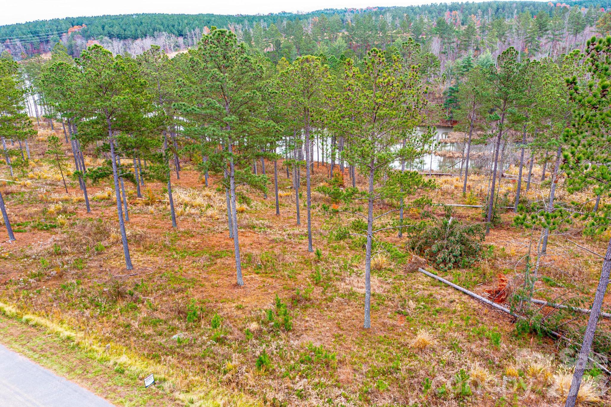 Lakeside Reserve - Land