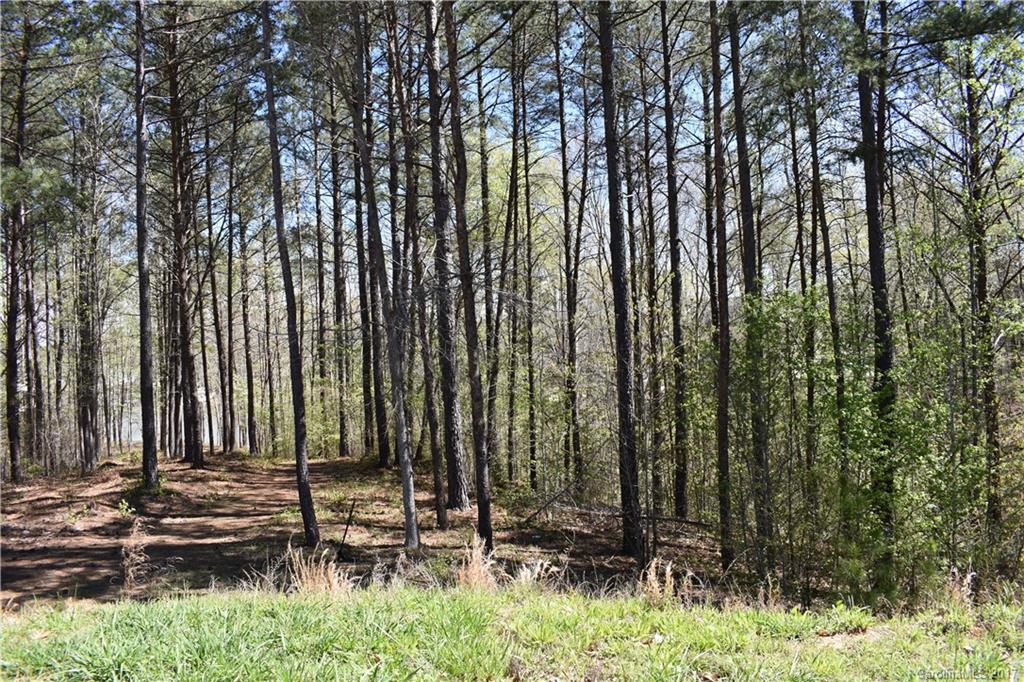 Handsmill On Lake Wylie - Land