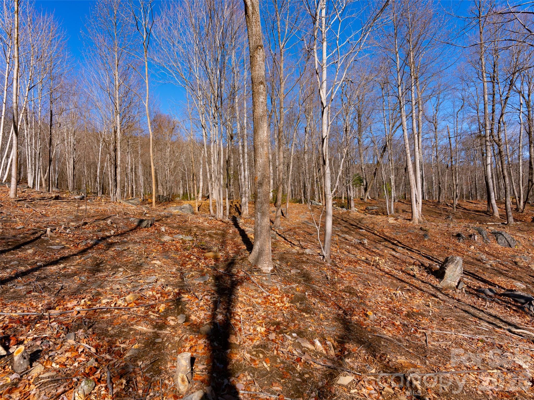 Brights Creek - Land