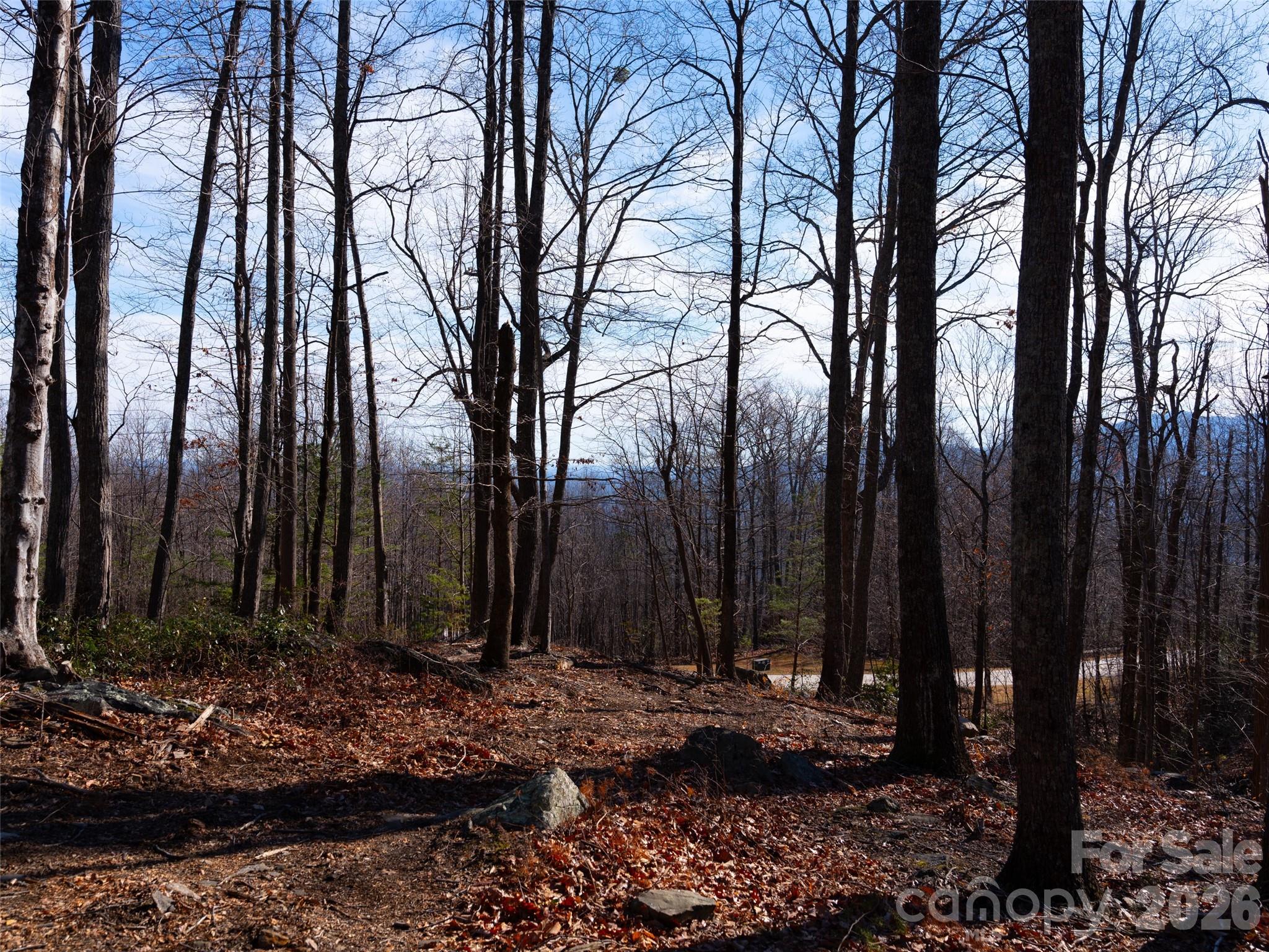 Brights Creek - Land