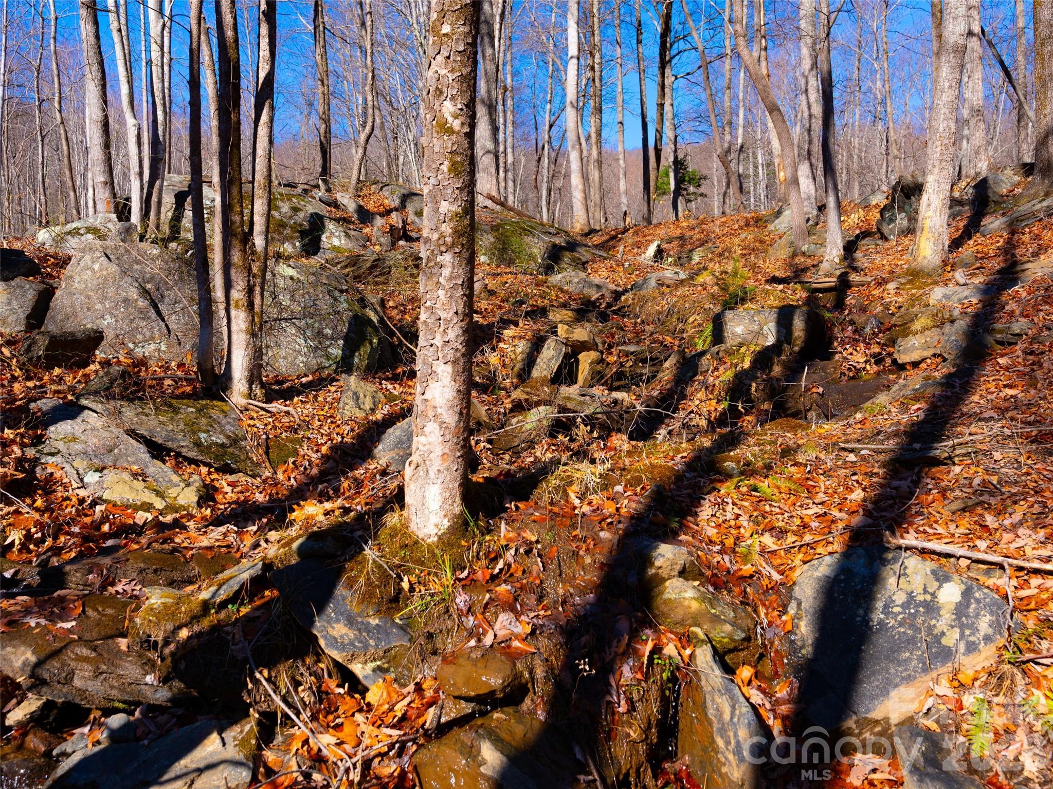 Brights Creek - Land