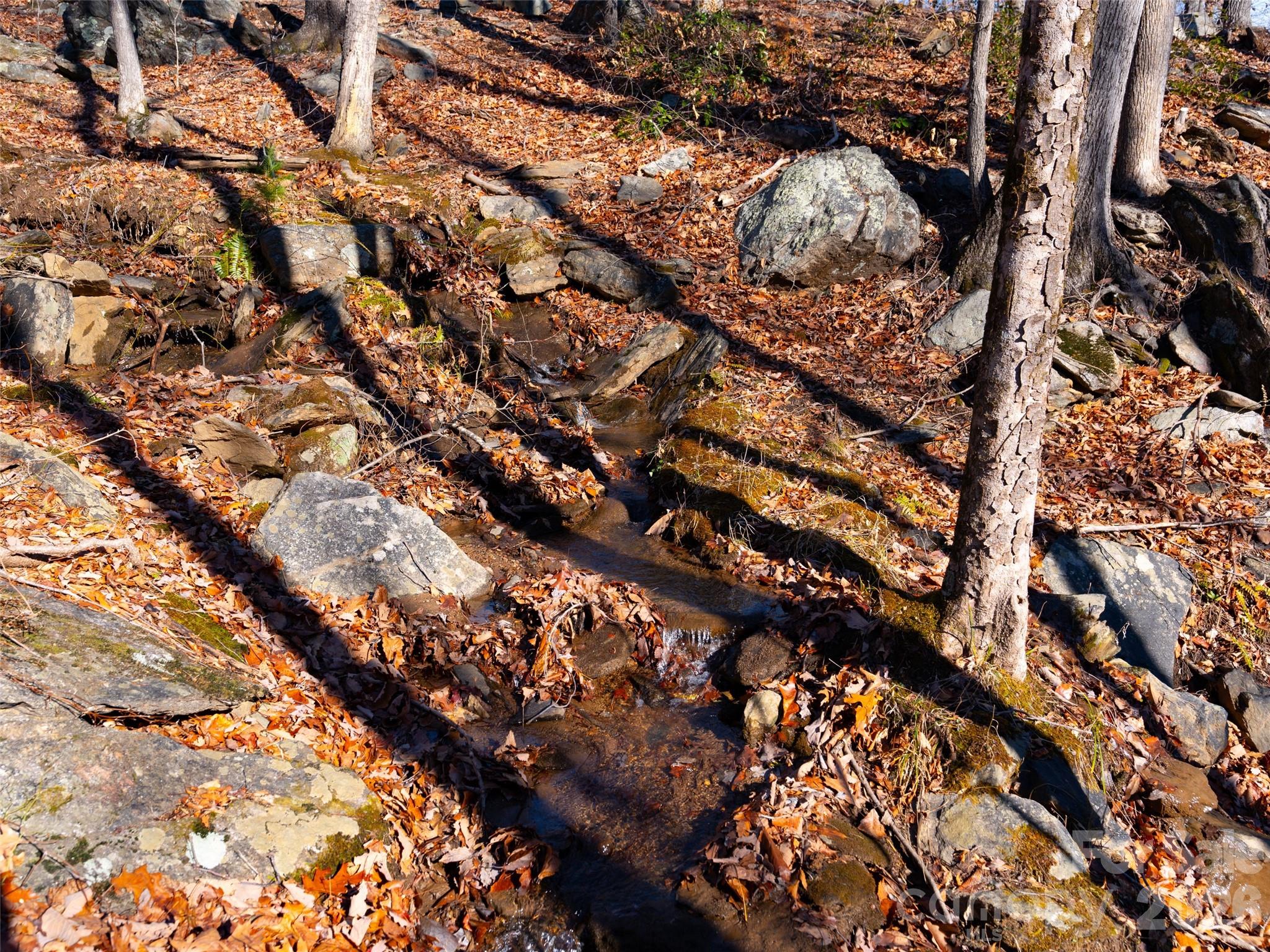 Brights Creek - Land