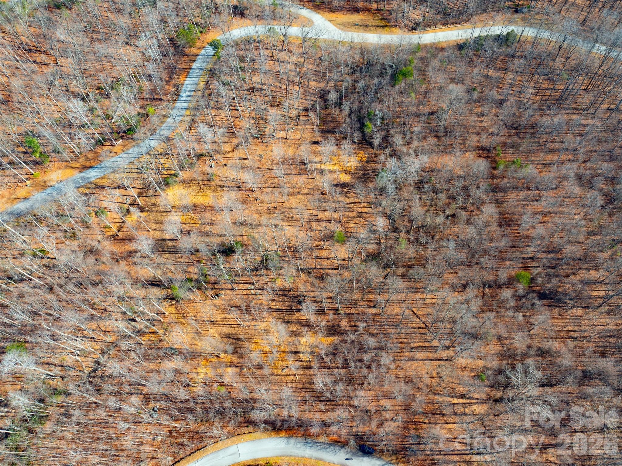 Brights Creek - Land