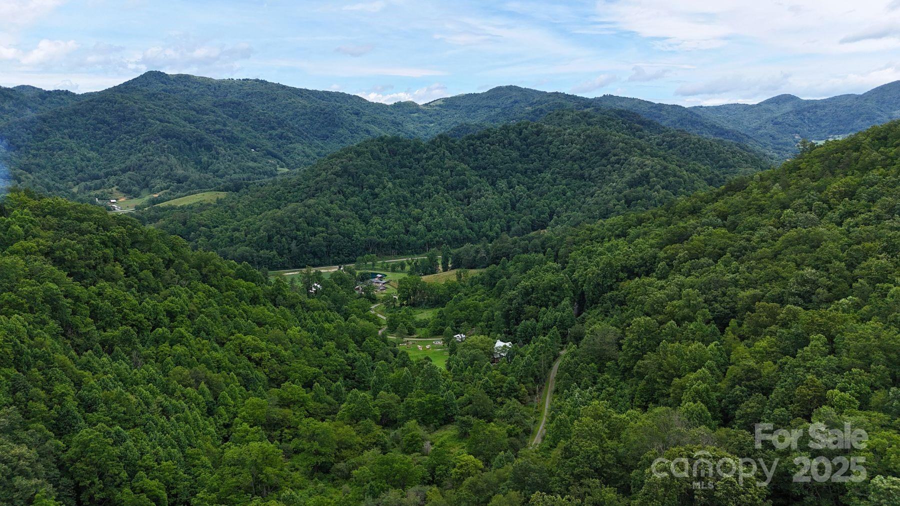 Fines Creek Cove - Land