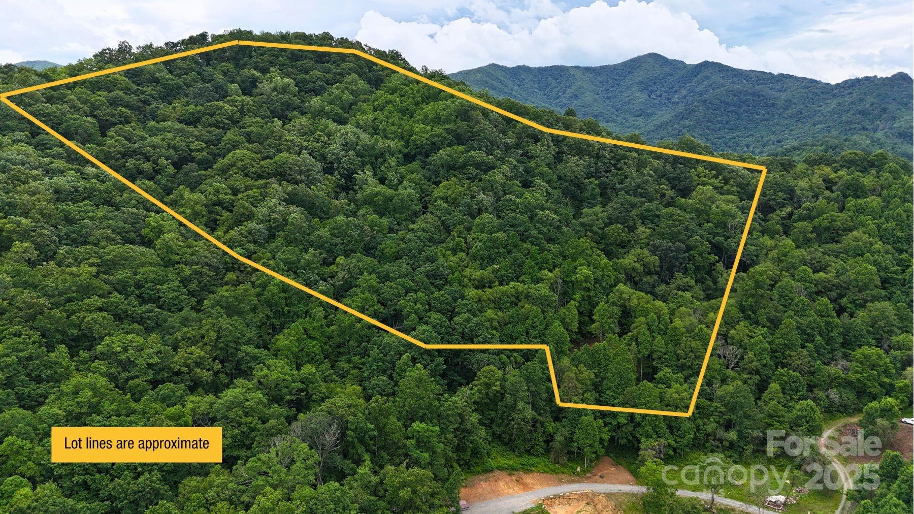 Fines Creek Cove - Land