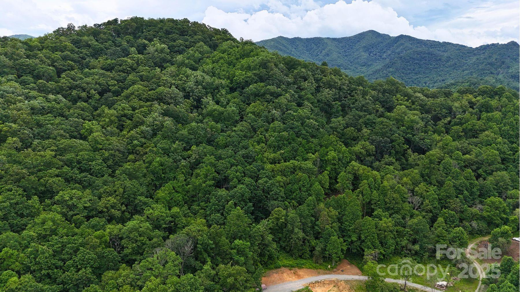 Fines Creek Cove - Land