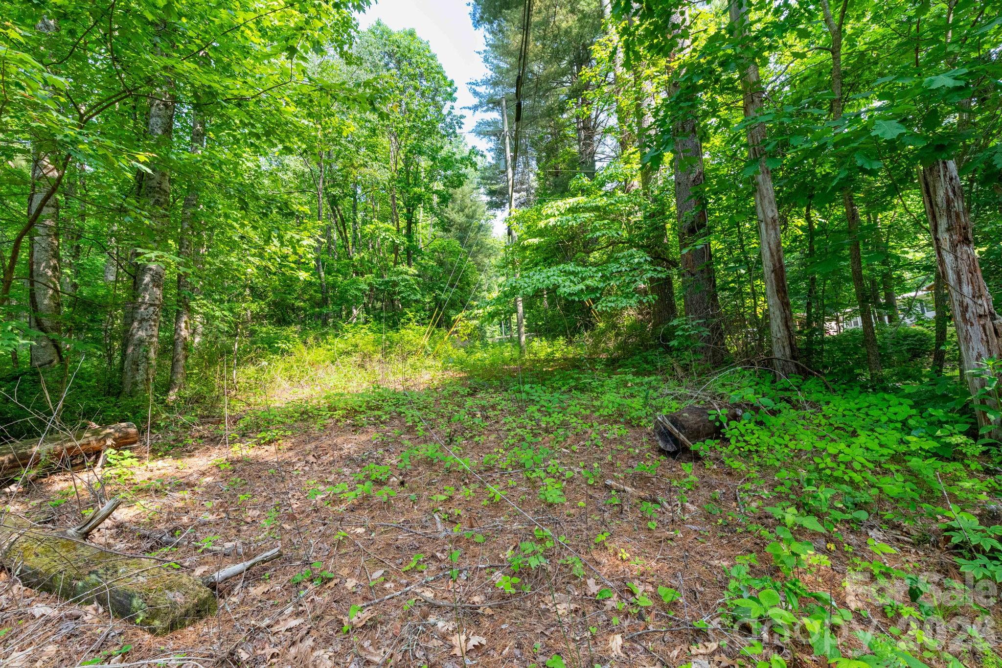 UNRESTRICTED 1.37 acres of beautiful wooded land with one babbling brook on the larger part of the parcel, and another across Woodfin Rd on the two smaller portions. The private location is perfectly situated on a State maintained road that dead ends just past the property, which means easy access but lower traffic. Very minimal elevation changes across the lot. Located just 2.5 miles from the Blue Ridge Parkway, 7.2 miles from Walmart on Town Center Loop, 9.2 miles from Downtown Waynesville and 10 miles from Downtown Sylva.  Never before offered for sale, this has been in the Bryson family for decades and is a unique opportunity to build your forever home, sell one lot to pay for the other, or possibly develop two lots and bring in two tiny homes or manufactured homes. Buyer to verify if land can be divided, County Planning says it is possible. No restrictions and no HOA.
