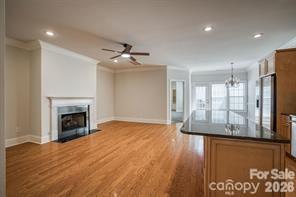 New Neighborhood/Old Davidson - Residential