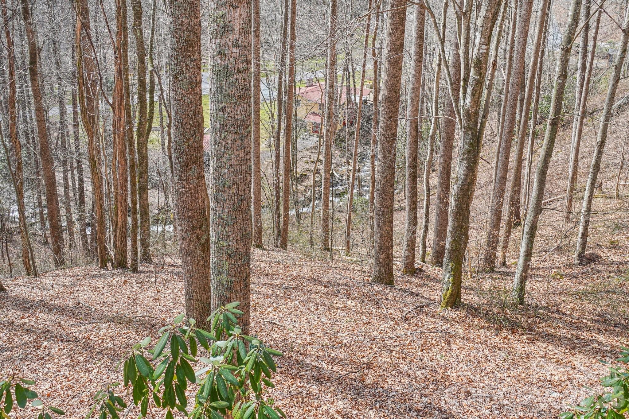 Roaring Creek - Residential