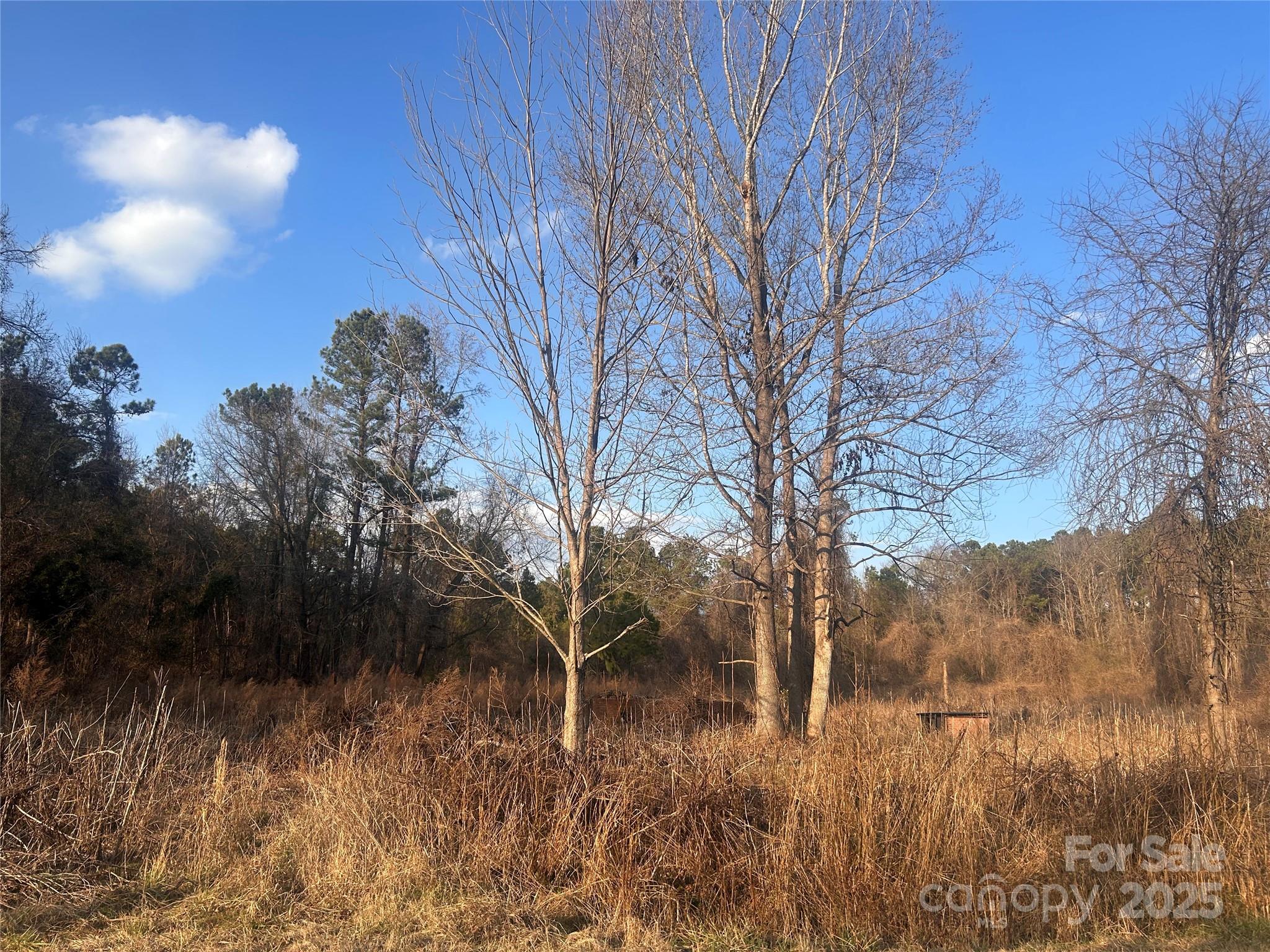 Back On the Market! Beautiful 2.47 acres of Land available in the historic town of Winnsboro, SC. Land is wooded and is located in Rion Ridge Subdivision. Manufactured and Modular homes are allowed. Land requires well and septic and there is utility access as well. There is square footage requirement for your new build (1,500 square ft). This land will not last for long. If you are looking for land to build your dream home, then look no further. This land would be the perfect location for you.