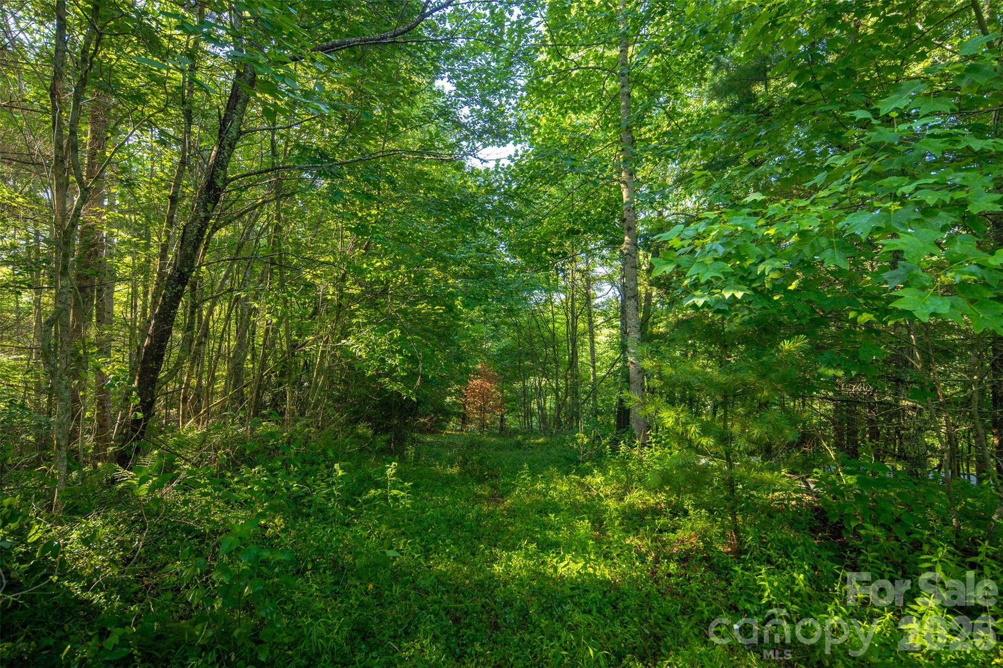 Boulder Creek - Residential