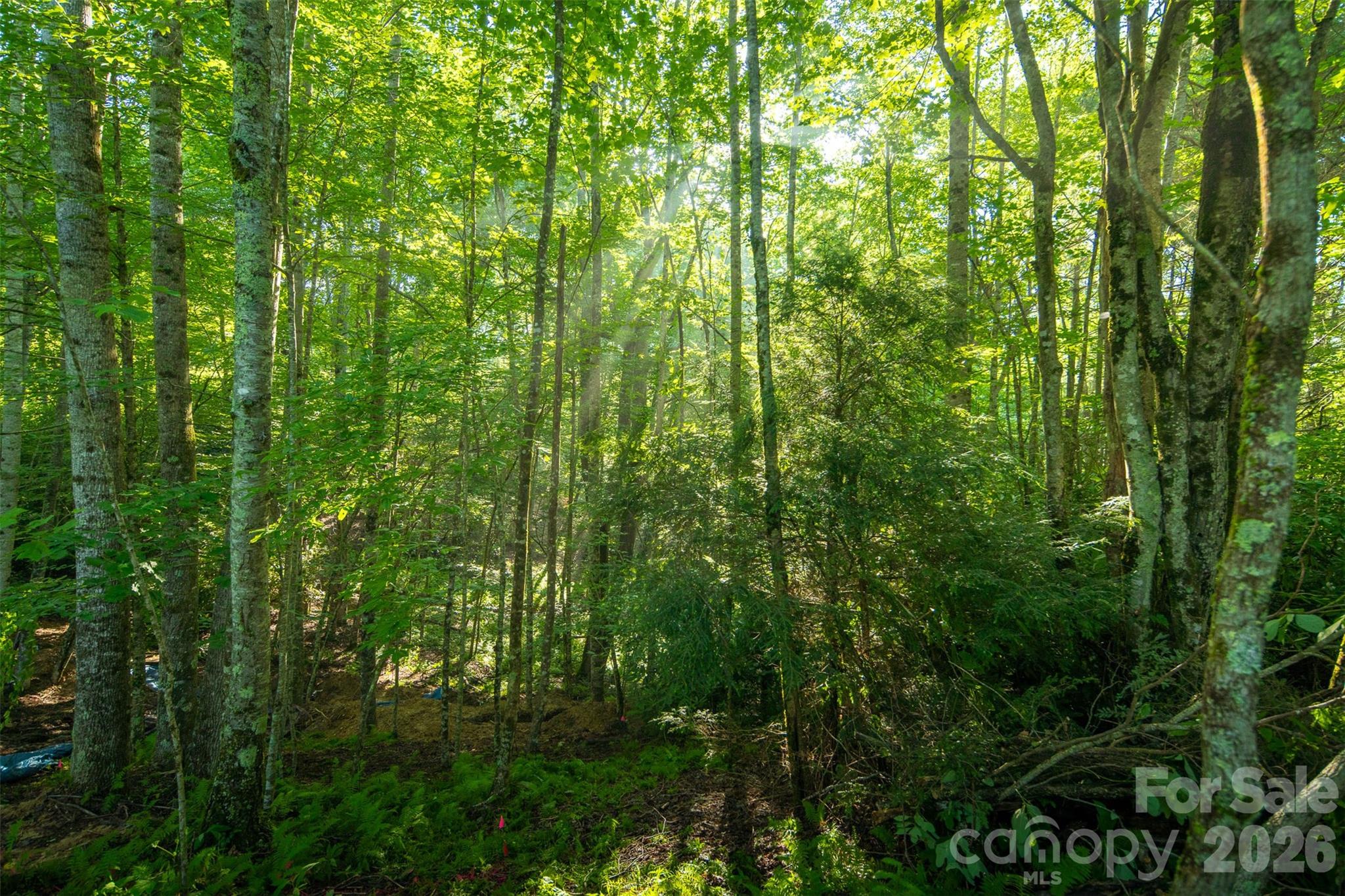 Boulder Creek - Residential