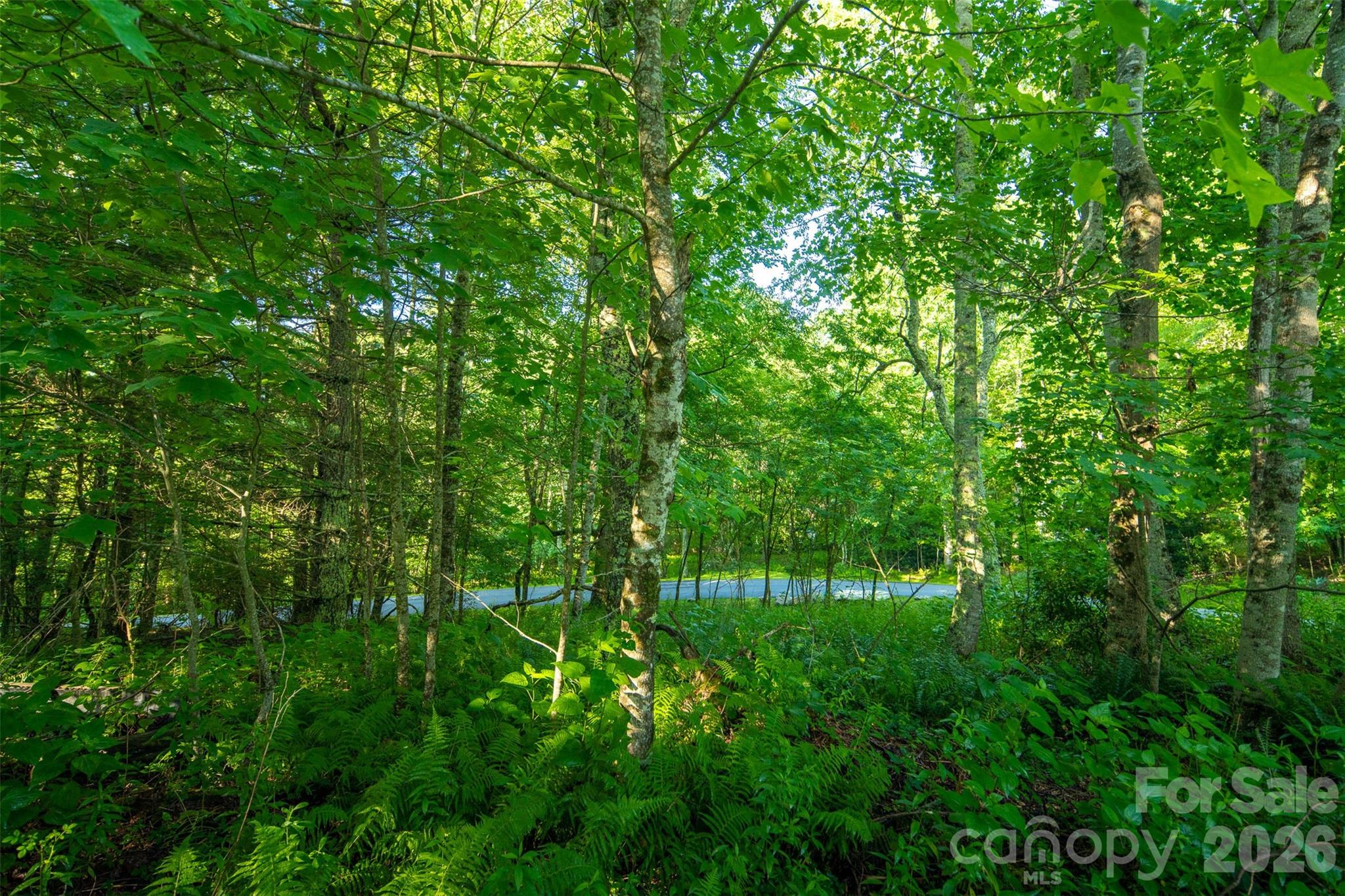 Boulder Creek - Residential