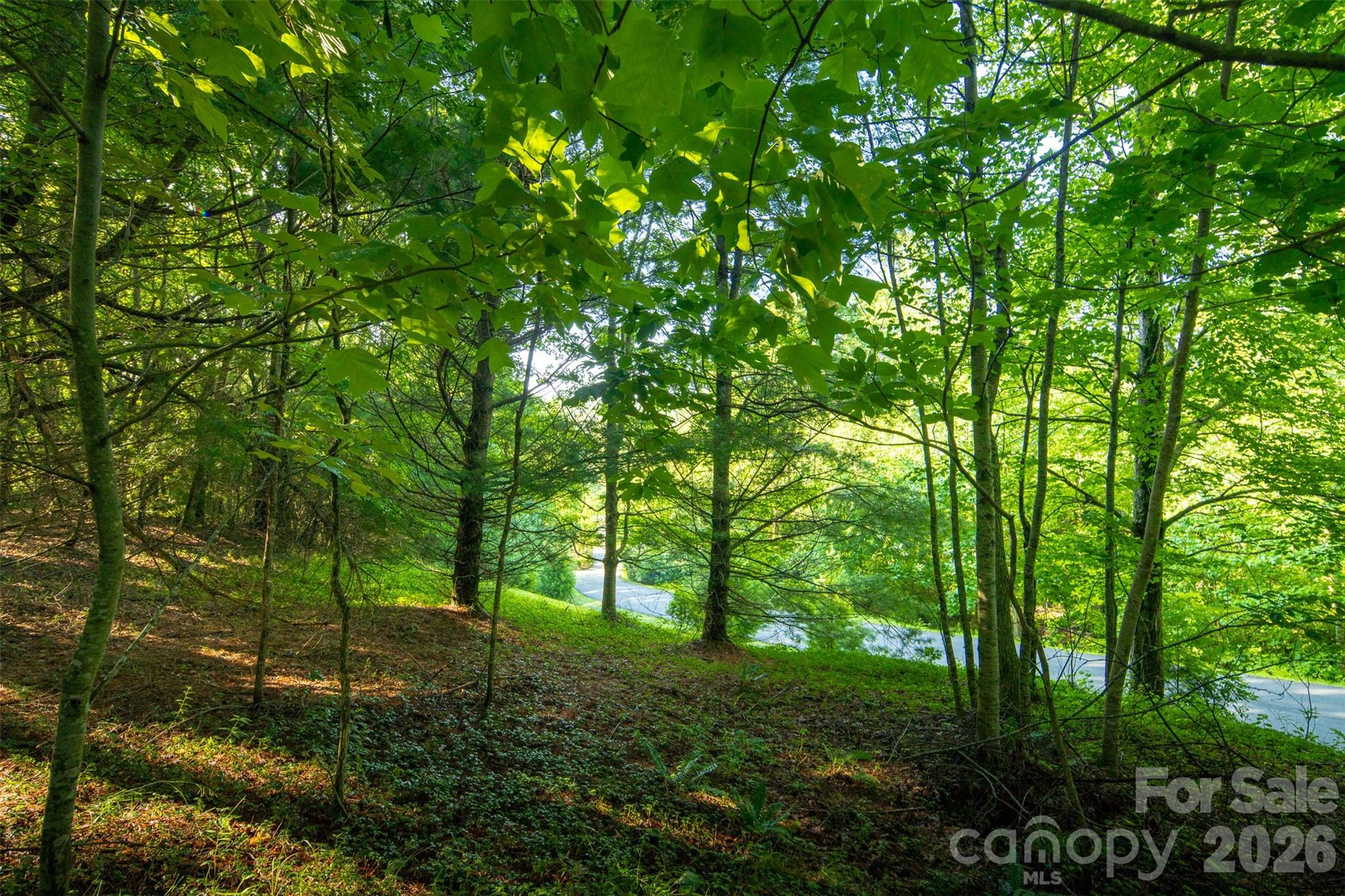 Boulder Creek - Residential