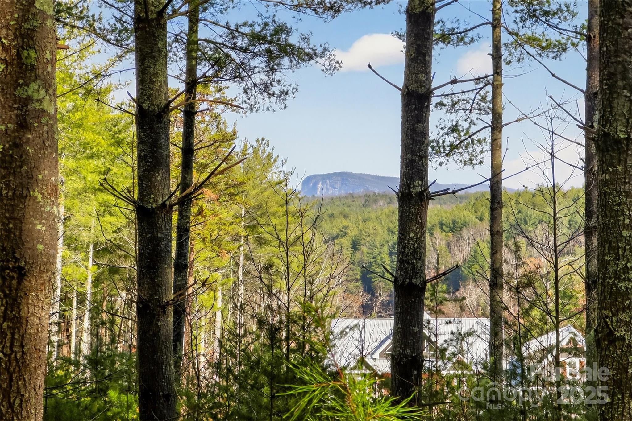 Views of Shortoff Mountain can be yours from this spacious and builder friendly lot. It is very level with the home site sitting slightly above the road. This is an intersection lot which can allow a pull thru driveway allowing for privacy for your home while having the easiest of access from construction to living. Beautiful 1.63-acre lot is located in The Peninsula at Lake James. This lot is located just up the street from the community pool and main entrance. Easy walk on pool days! Or just sit on your porch and enjoy Shortoff Mountain views! Shortoff Mountain is part of the Pisgah National Forest, which spans approximately half a million acres. The lot features paved road frontage, access to a community well, and underground utilities to preserve the area’s natural beauty. BUILDER FRIENDLY LOT! With a gentle building site, you'll enjoy reduced construction costs compared to steeper terrains. Survey on file. Expired septic permit on file. This gated community allows short term rentals and offers a community dock, pool and pool house. The Peninsula of Lake James offers the best of mountain living. It consists of 200 lots on over 220 acres. It is established. Reasonable restrictions in place to protect the integrity of this Lake James community. Schedule your visit today.