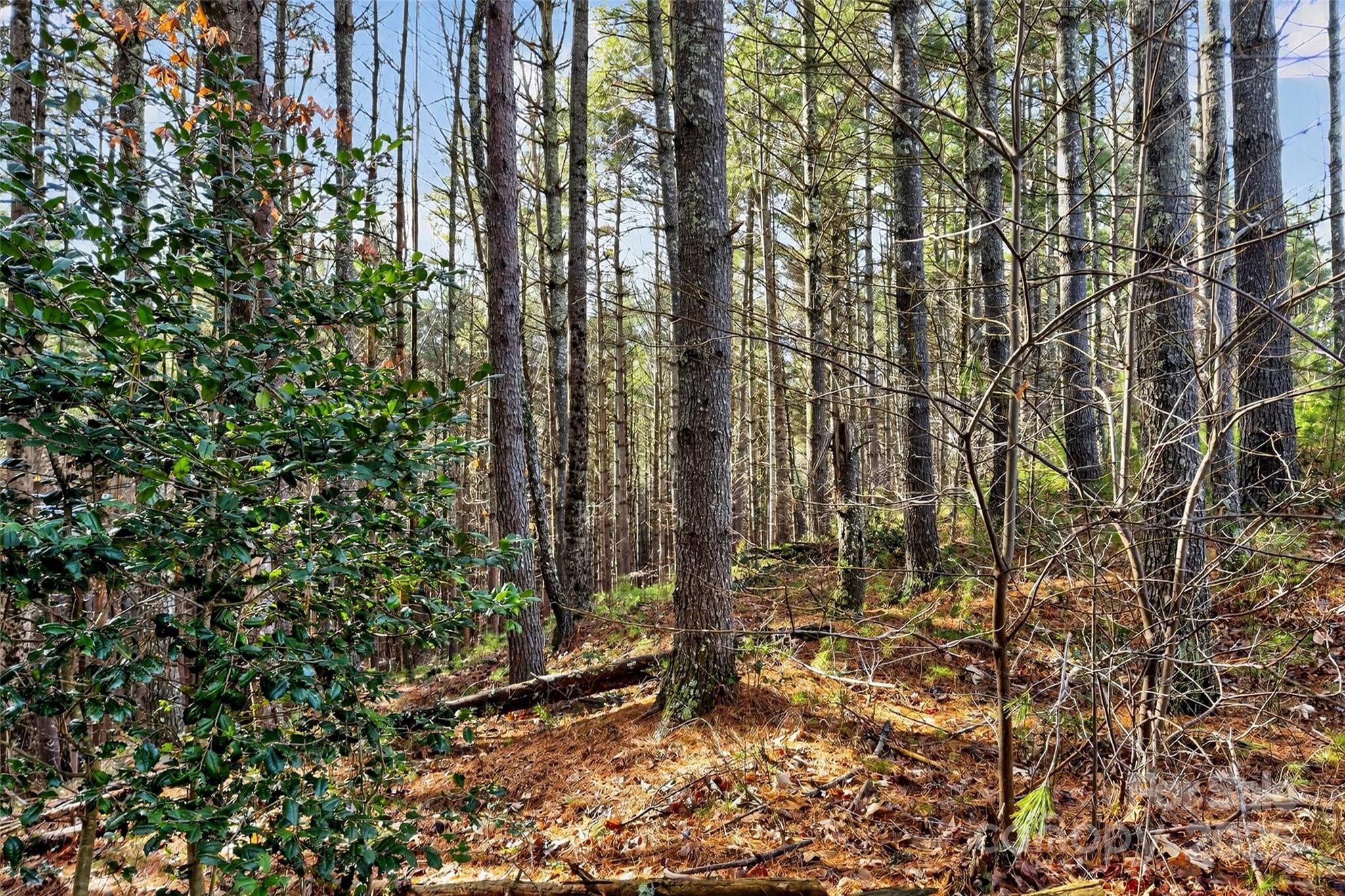 The Peninsula at Lake James - Land