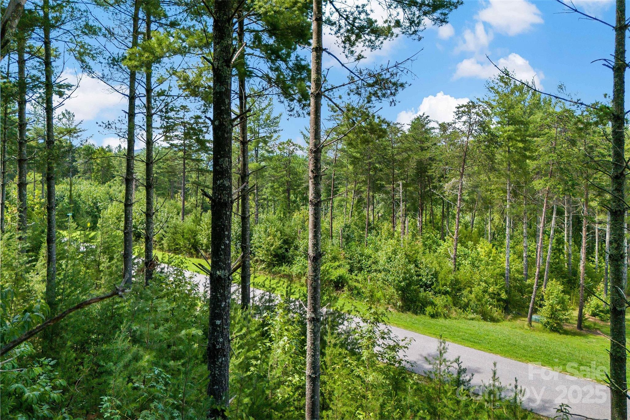 The Peninsula at Lake James - Land
