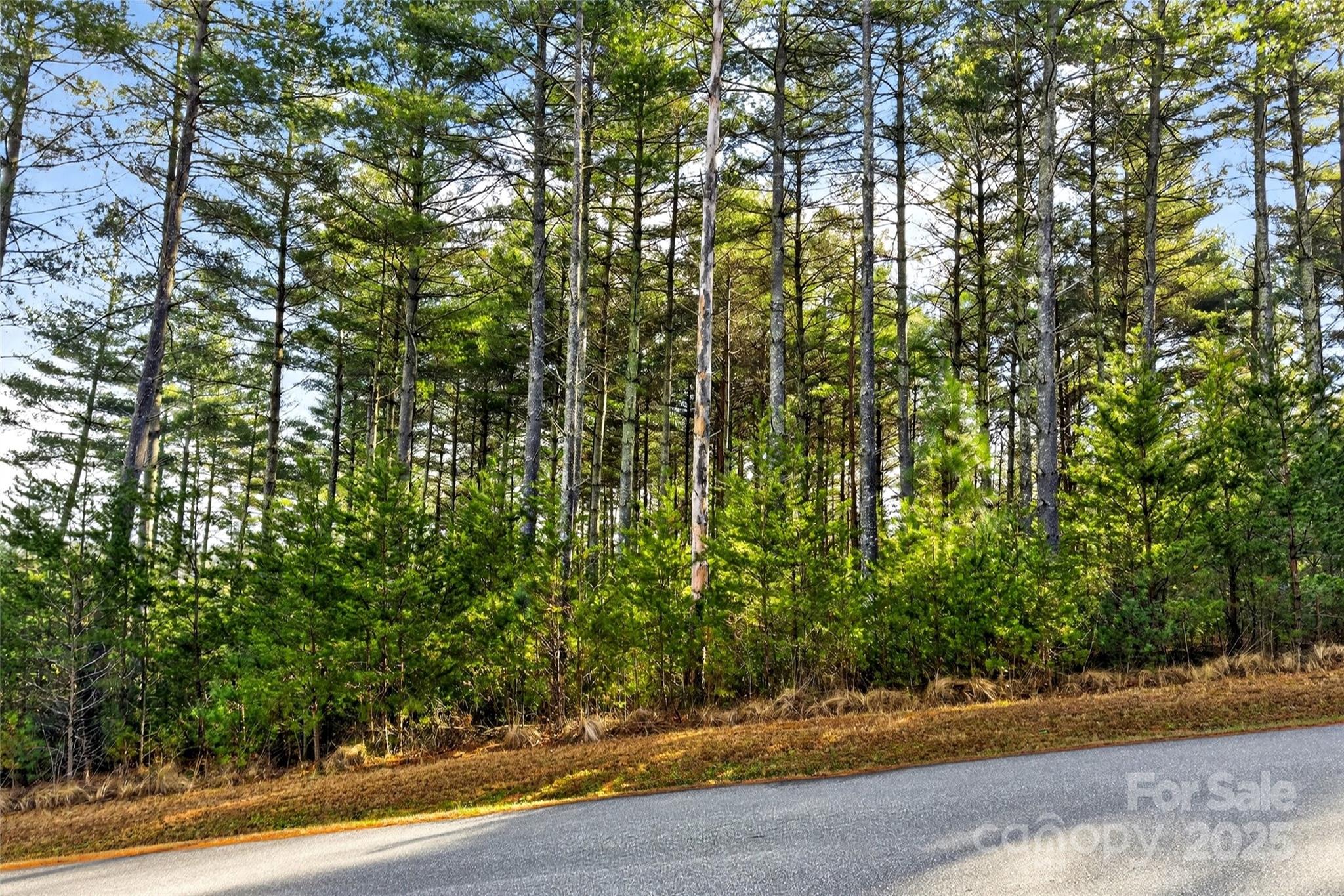 The Peninsula at Lake James - Land