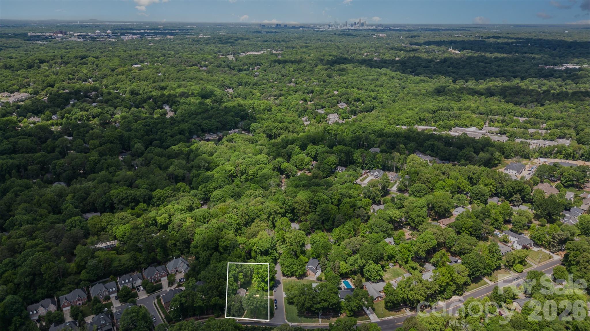 Providence Woods - Land