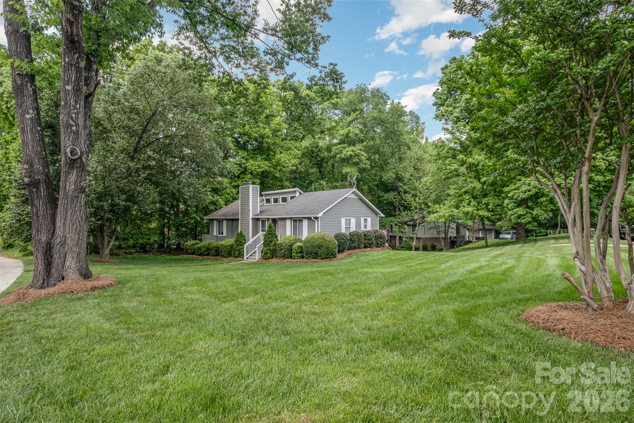 Providence Woods - Land