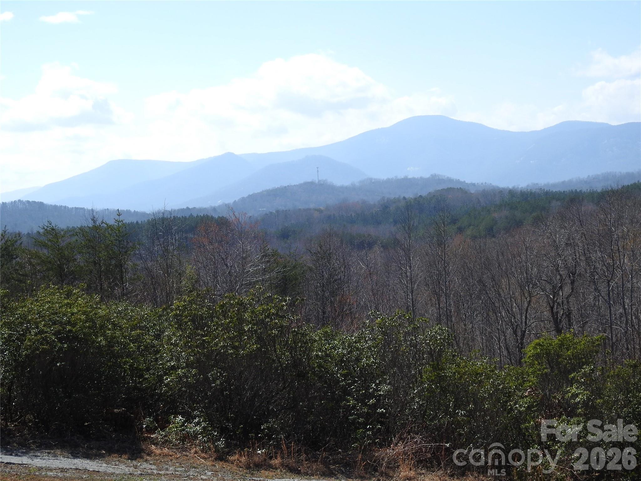 Laurel Lakes - Land