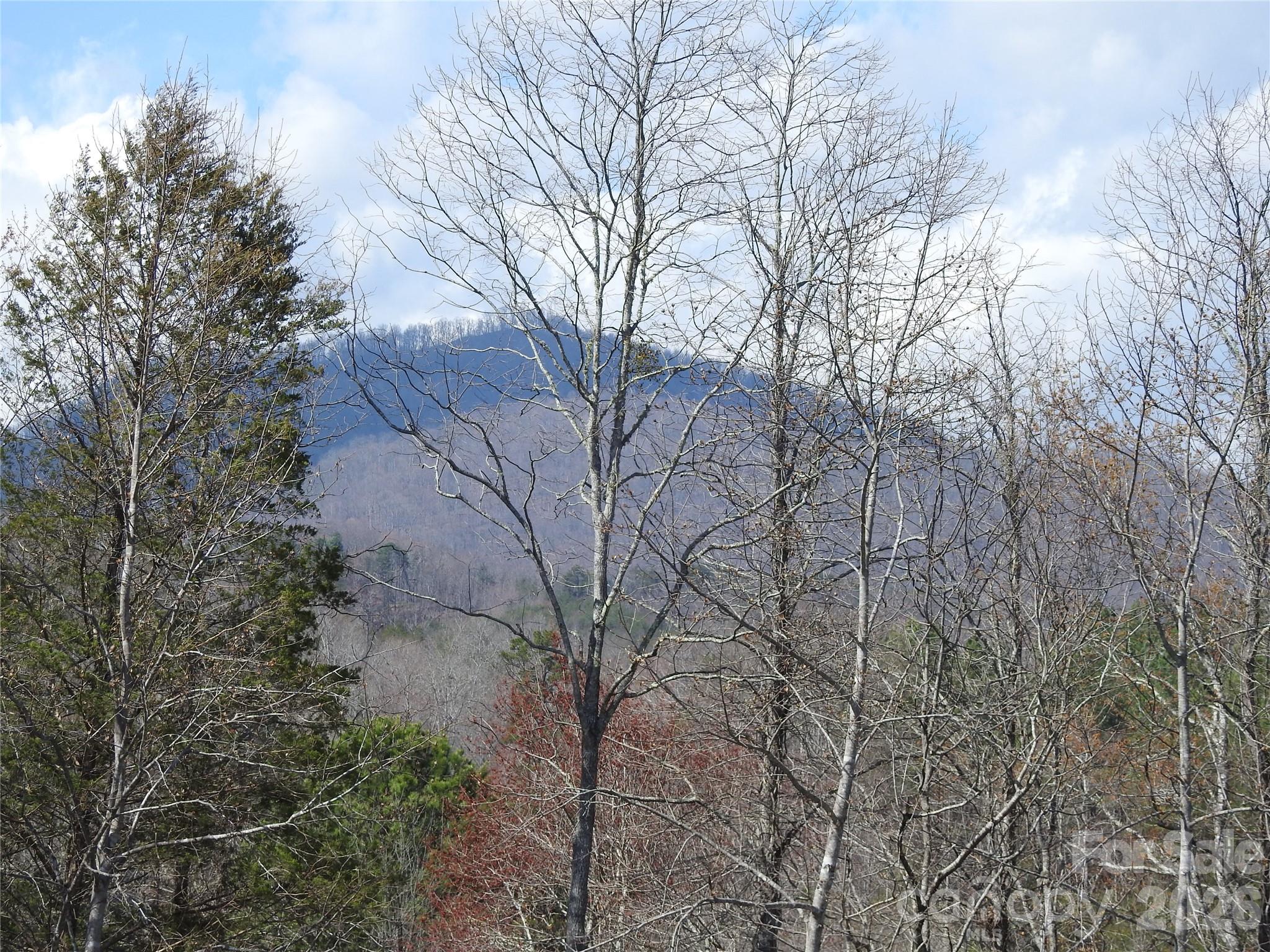 Laurel Lakes - Land