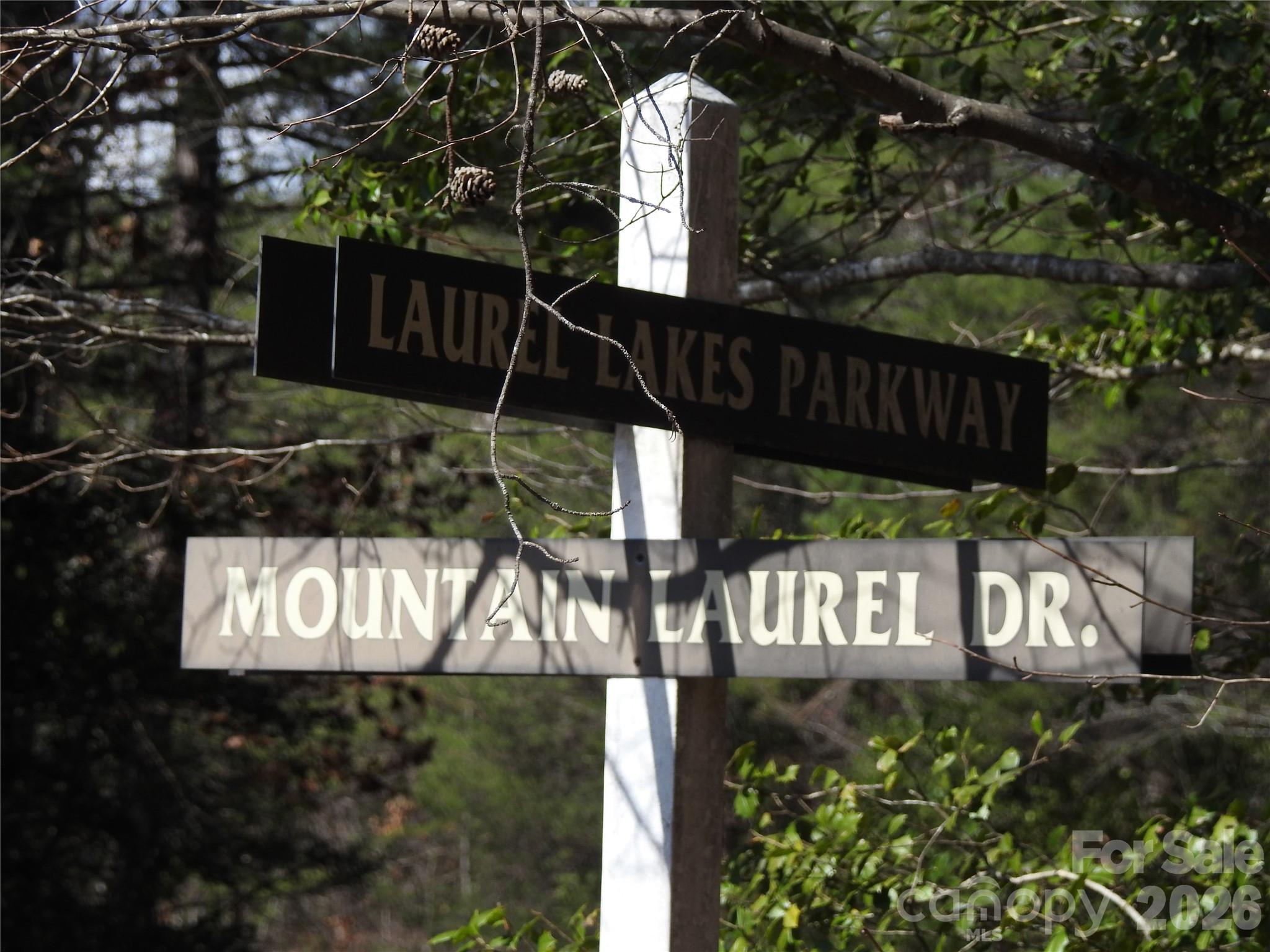 Laurel Lakes - Land