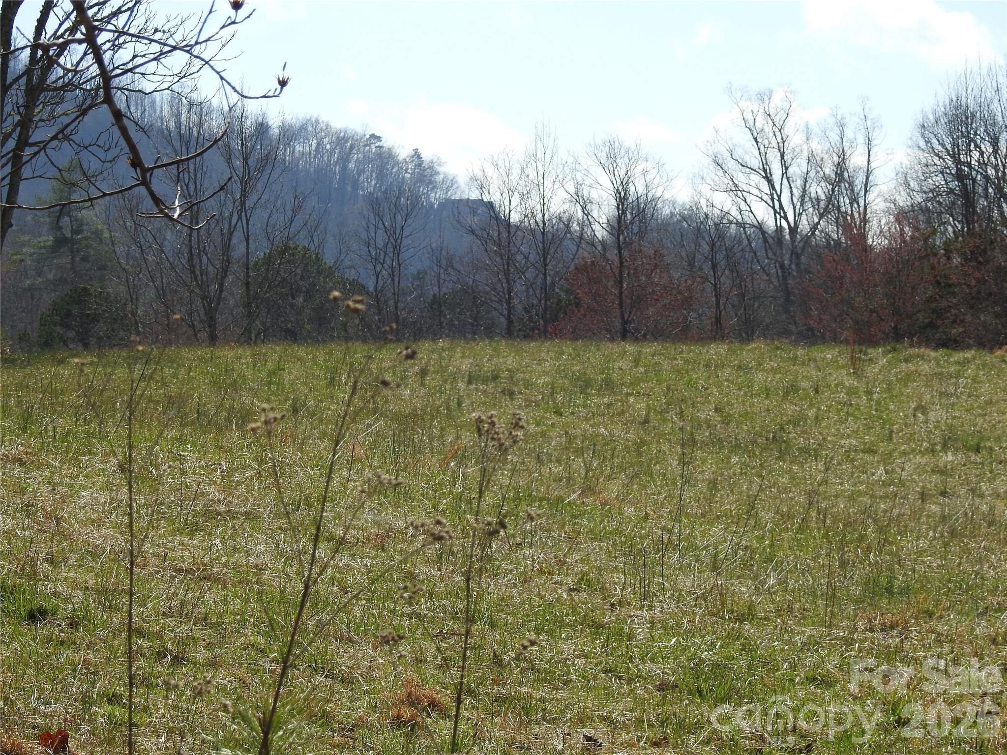Laurel Lakes - Land