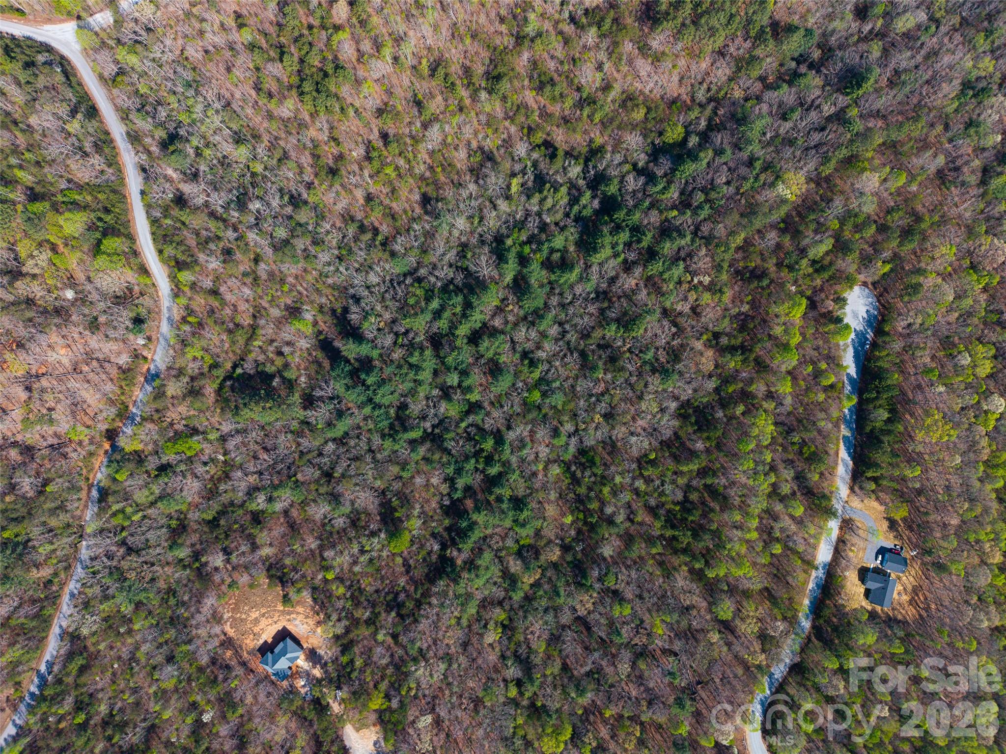 Check this out! Nearly 4ac of land ready for your vision! Located in Blackberry Creek Subdivision this lot sits at the end of a quiet cul-de-sac in the mountains! Property would need well and septic. Tons of space to build, privacy, and more.