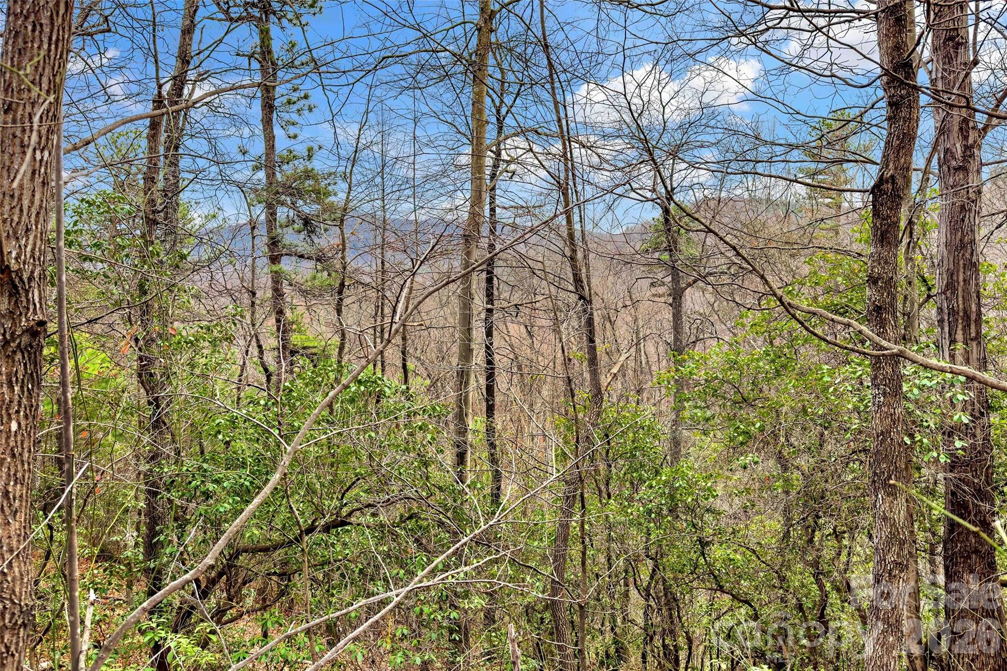 Catawba Falls Preserve - Land