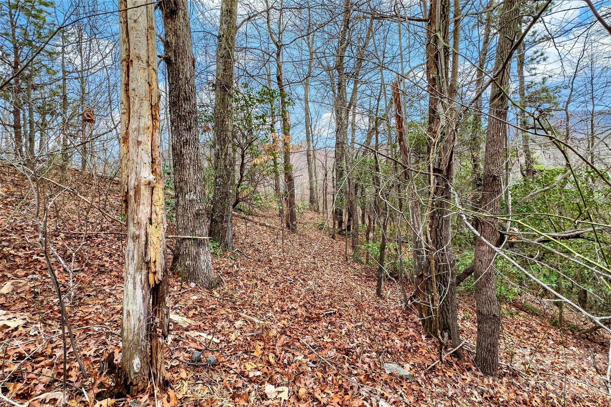 Catawba Falls Preserve - Land