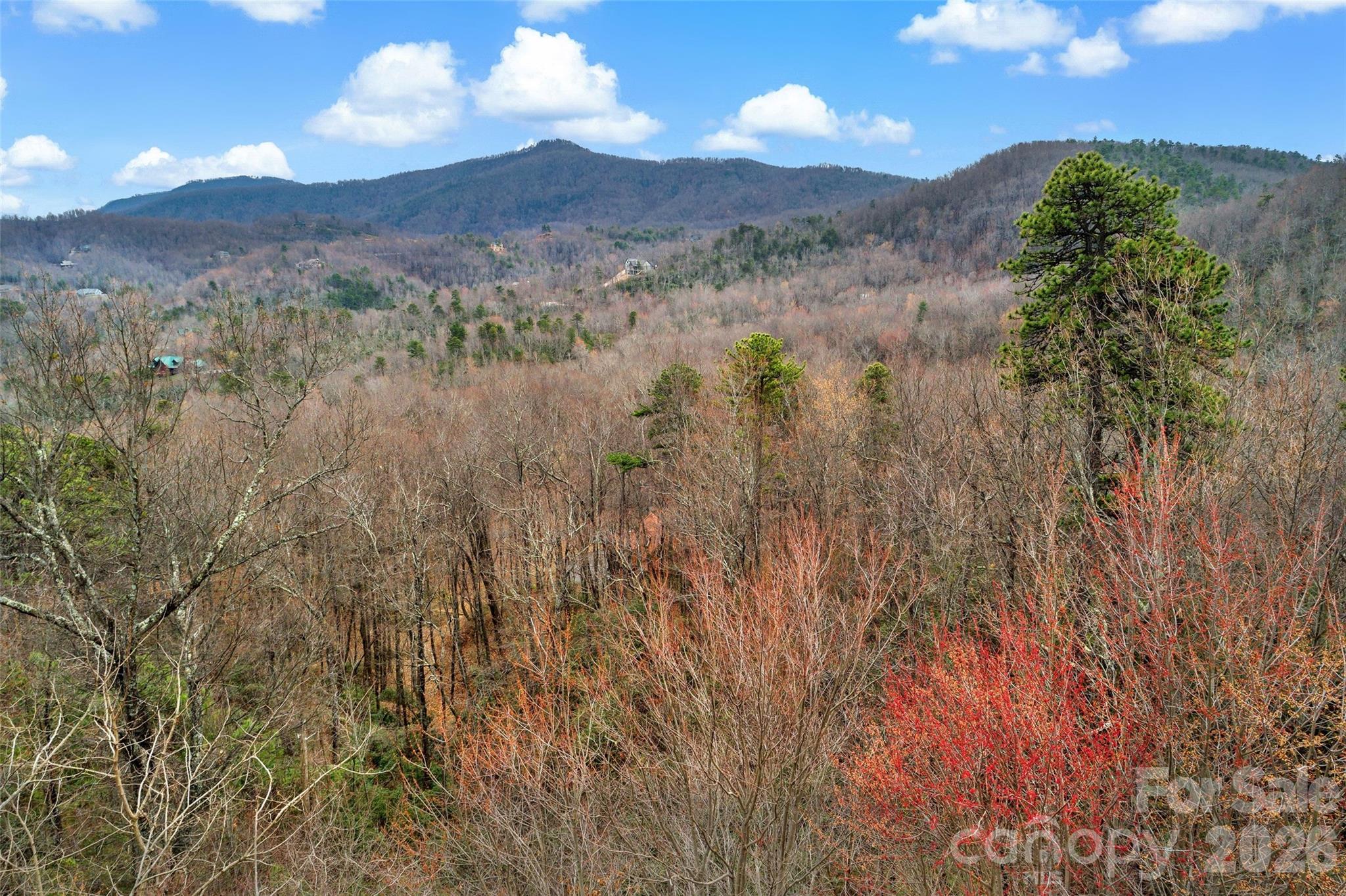 Catawba Falls Preserve - Land