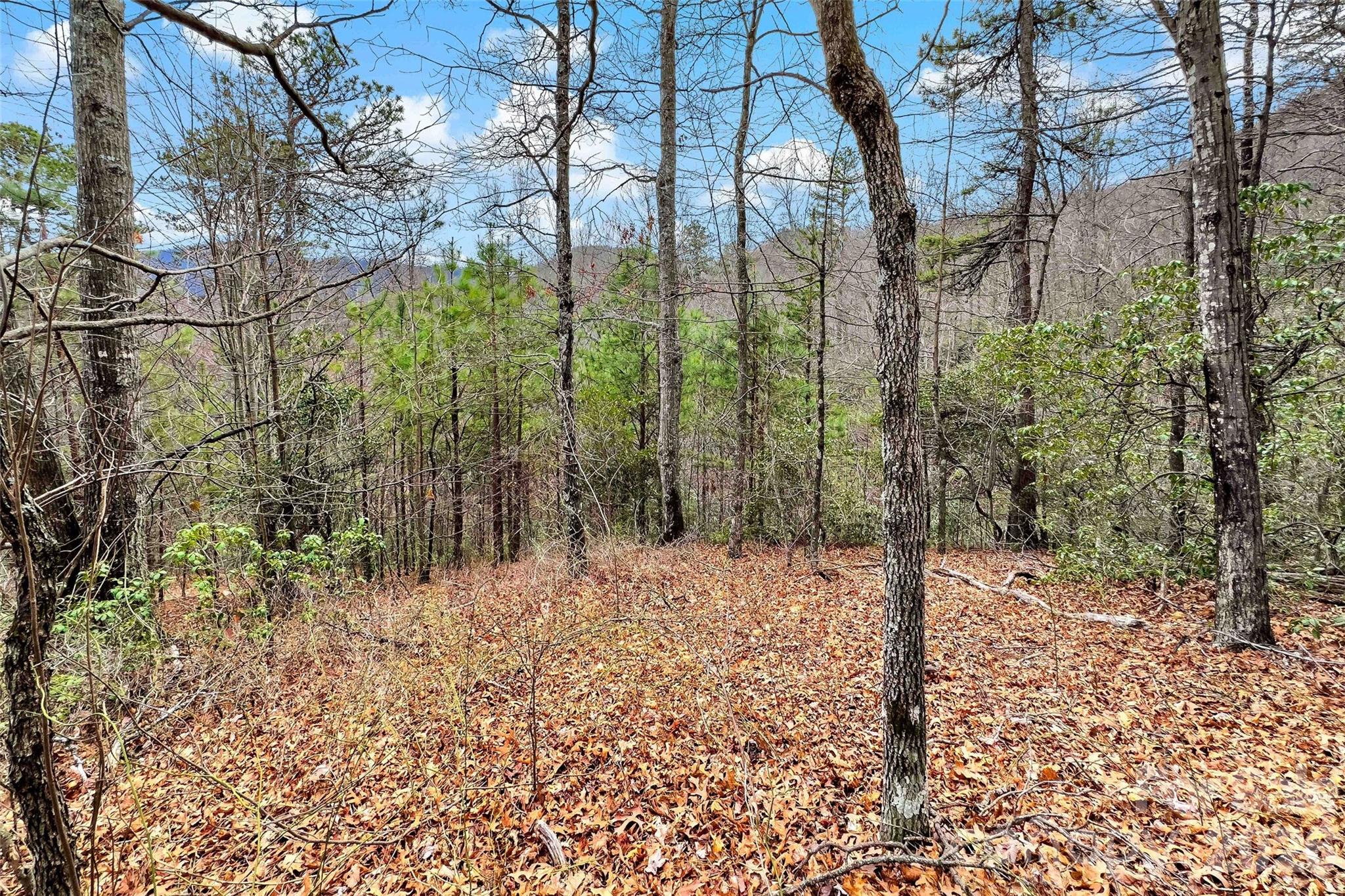 Catawba Falls Preserve - Land