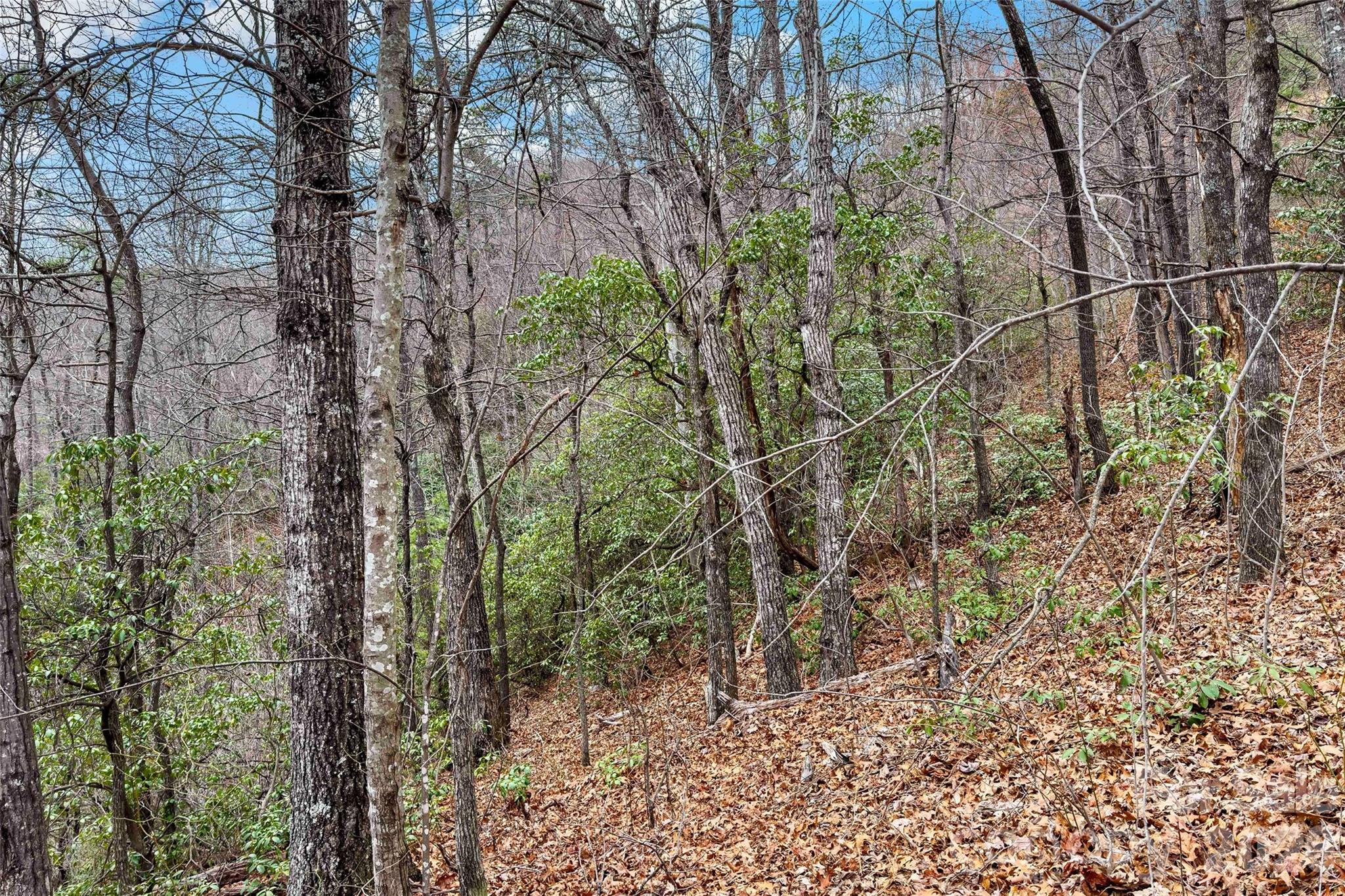 Catawba Falls Preserve - Land