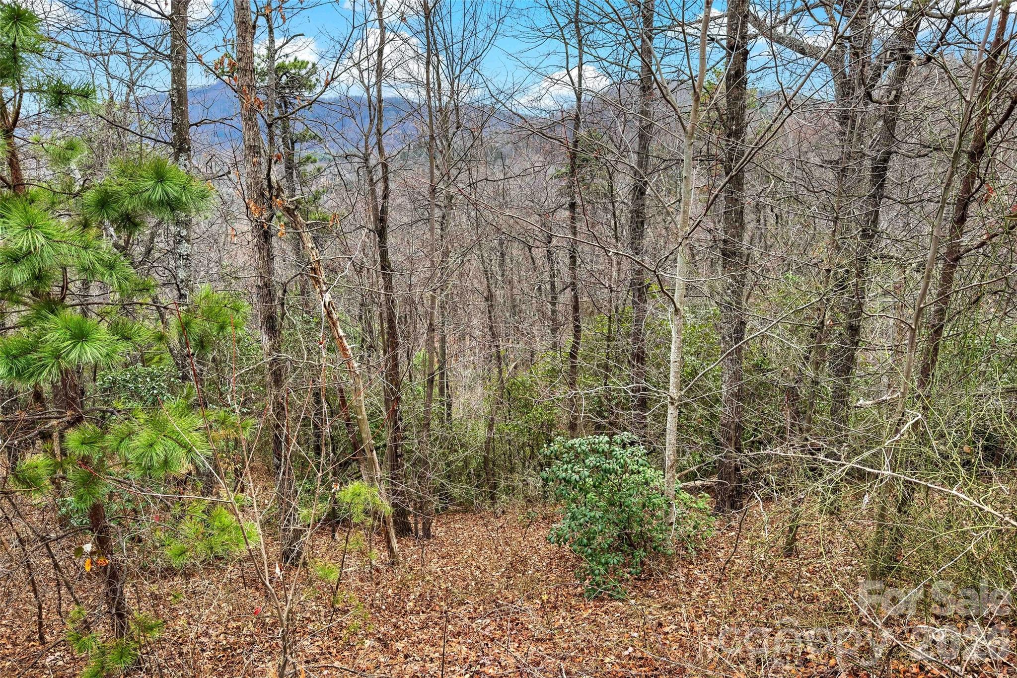 Catawba Falls Preserve - Land