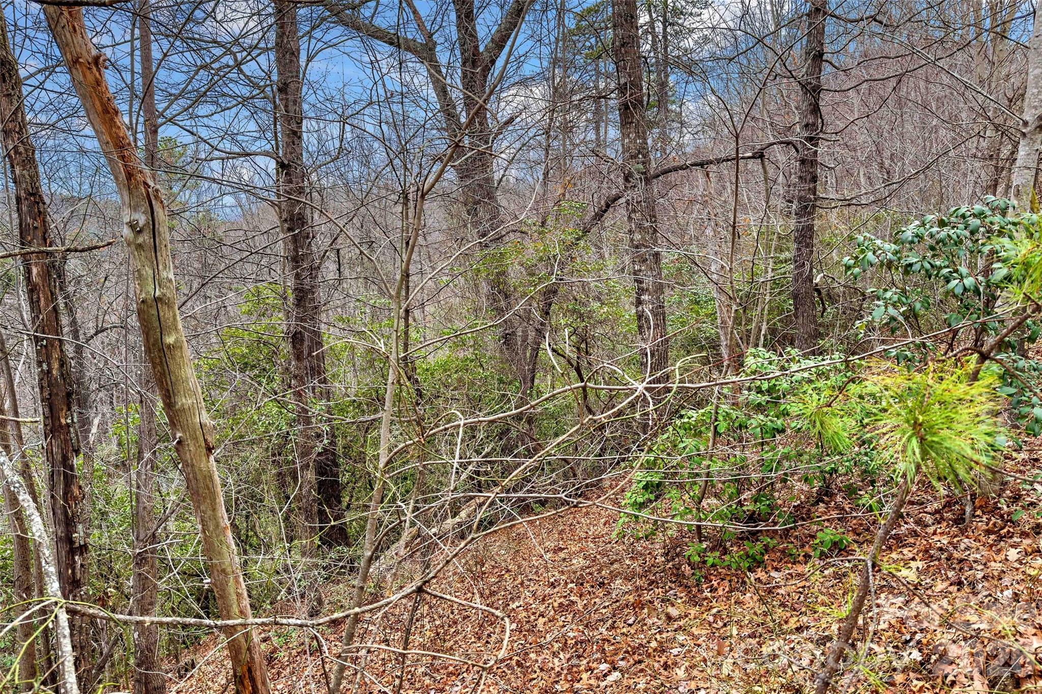 Catawba Falls Preserve - Land