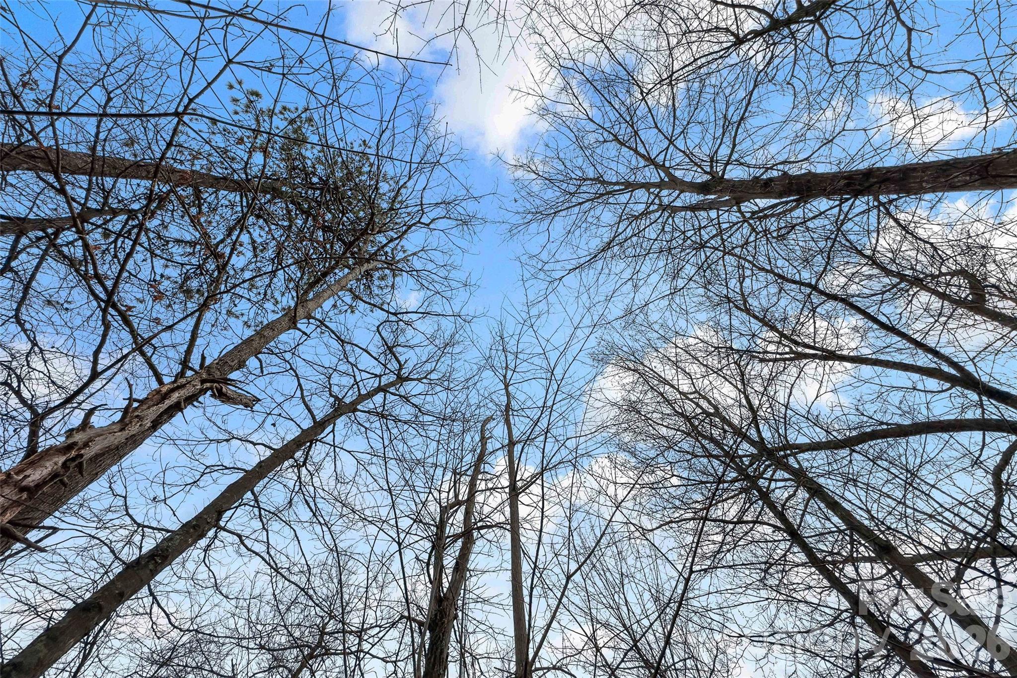 Catawba Falls Preserve - Land