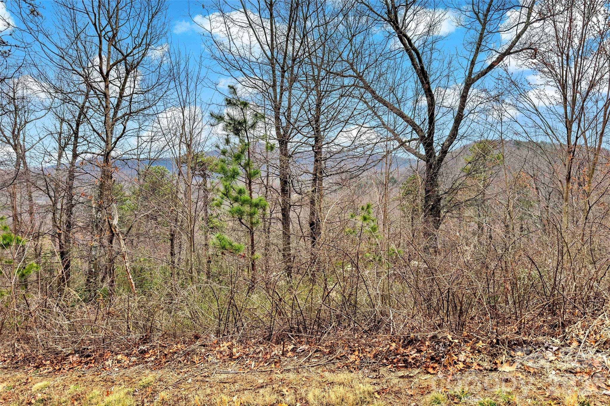 Catawba Falls Preserve - Land